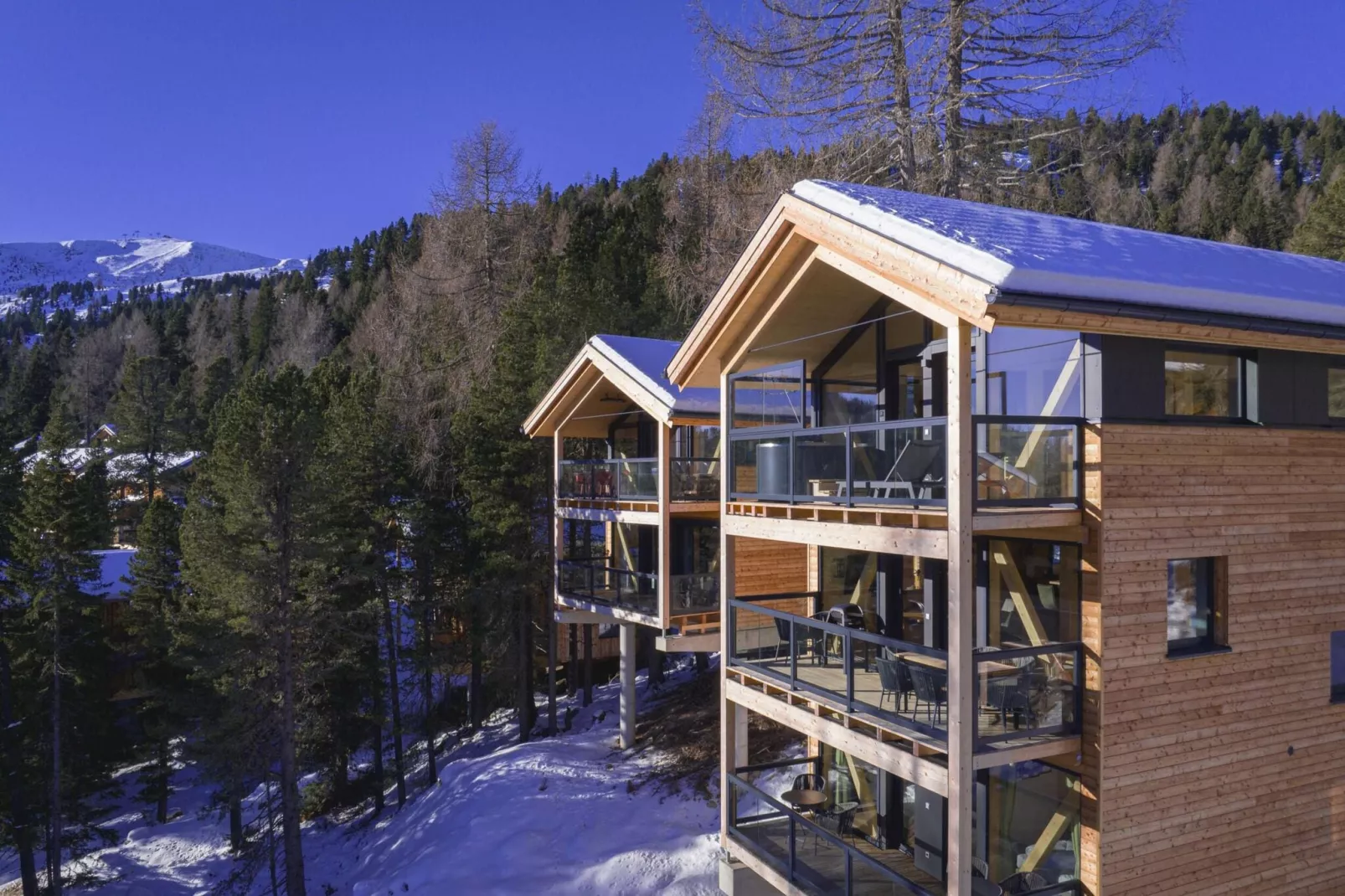 Naturchalets Turracher Höhe 10-Außenbereich Winter