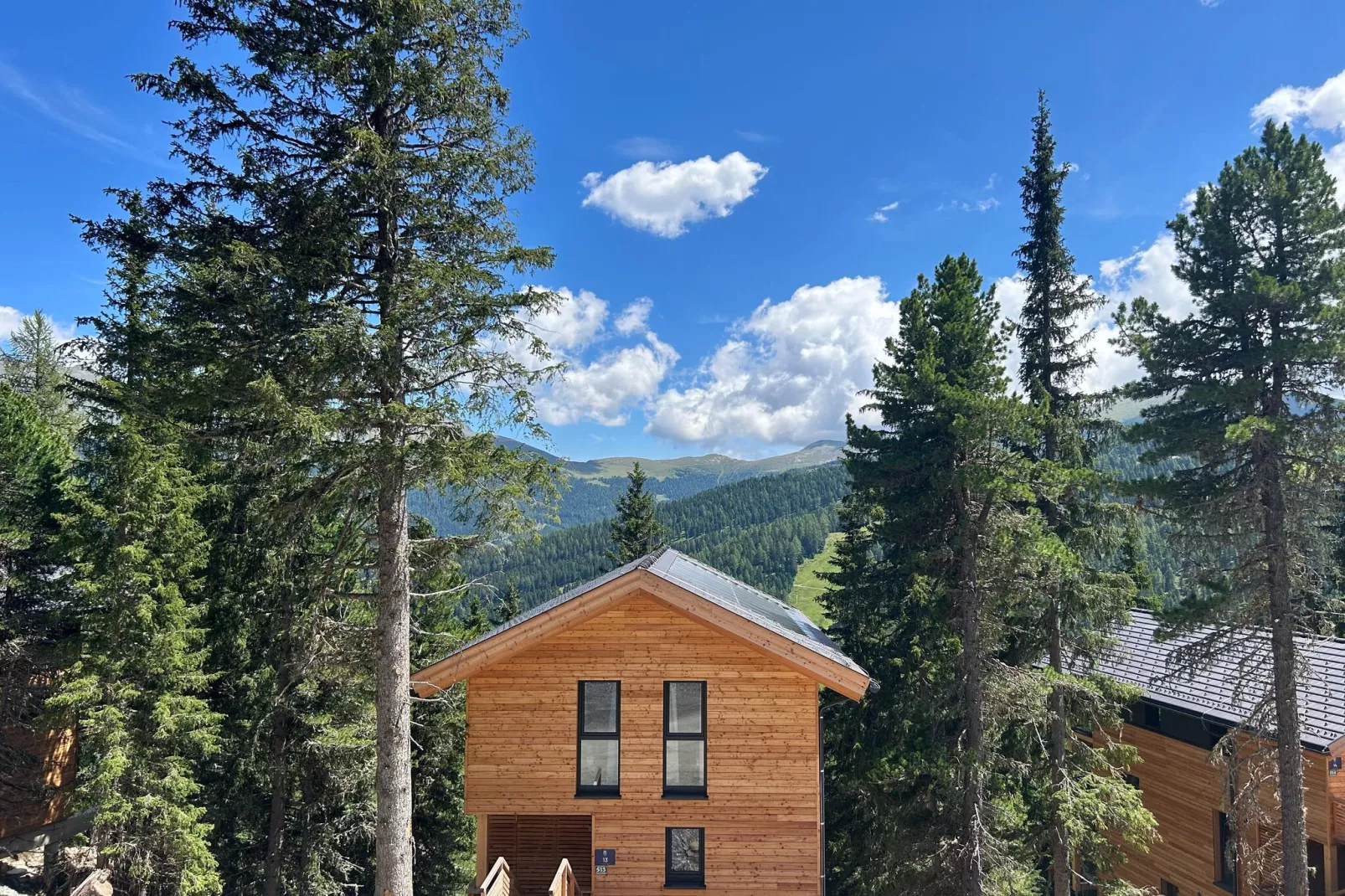 Naturchalets Turracher Höhe 11-Aussicht Sommer