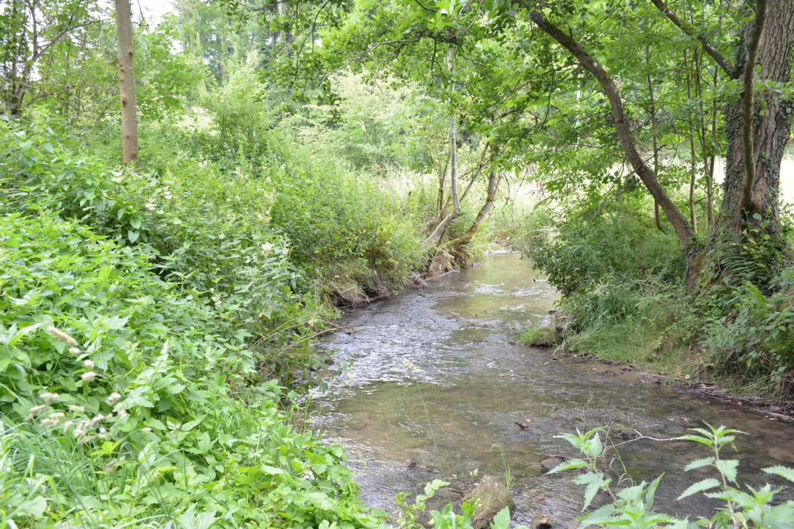 Au Pas Perdu-Areas summer 1km