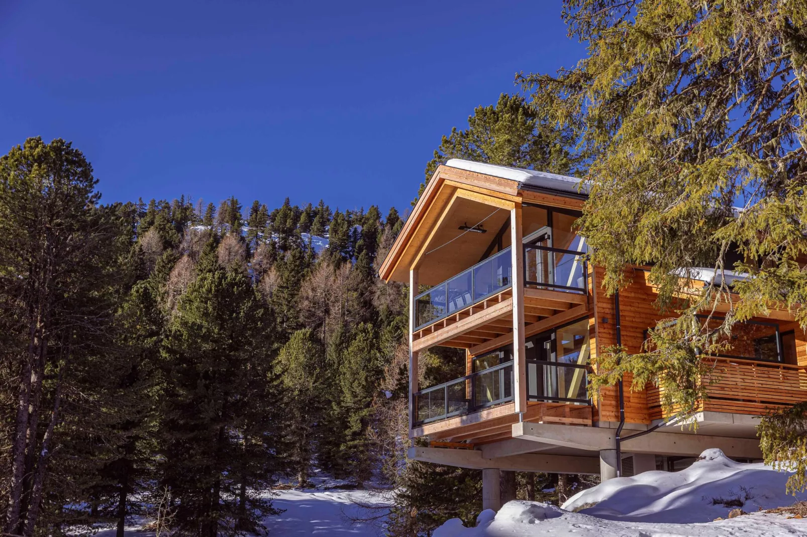 Naturchalets Turracher Höhe 13-Garden winter