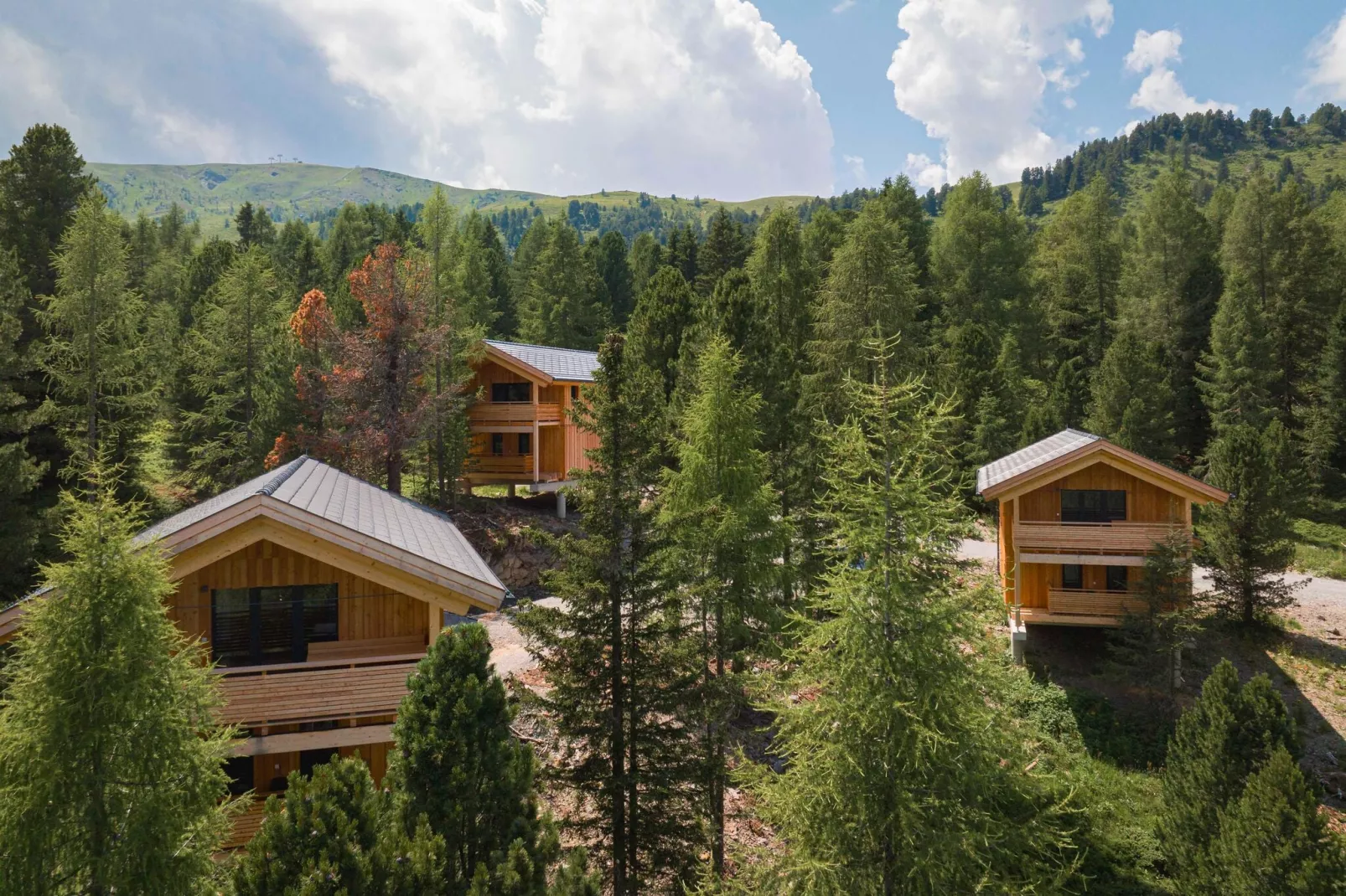 Naturchalets Turracher Höhe 17-Areas summer 1km