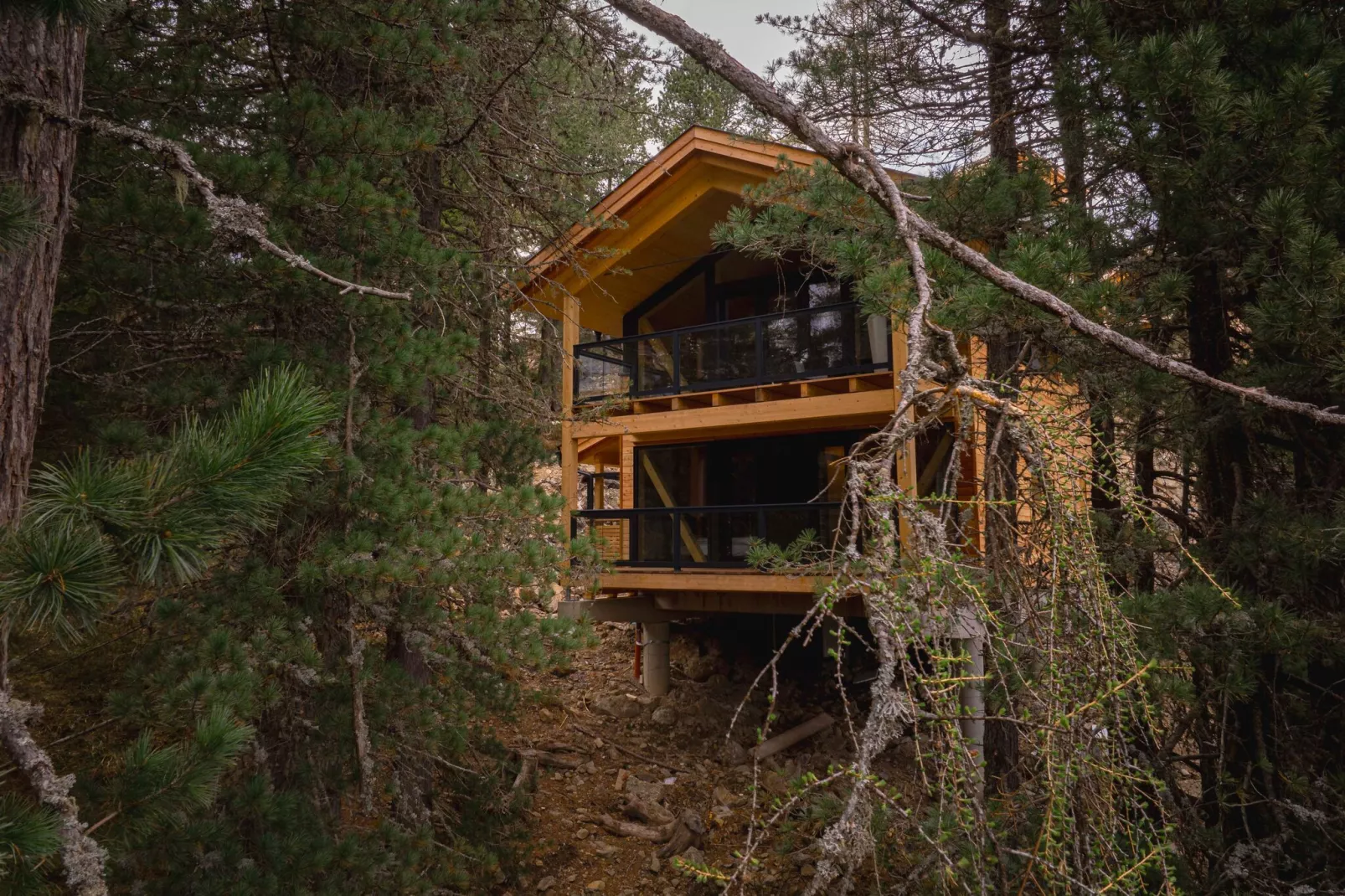 Naturchalets Turracher Höhe 19-Exterior summer