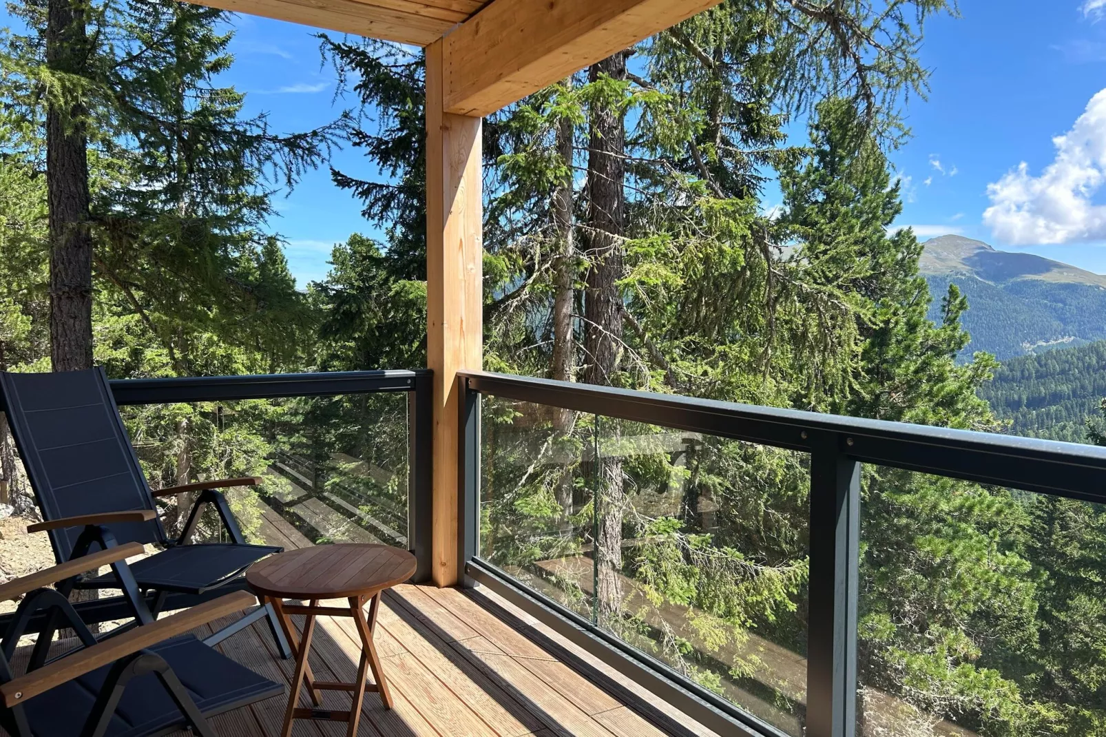 Naturchalets Turracher Höhe 21-Balcon-terrasse