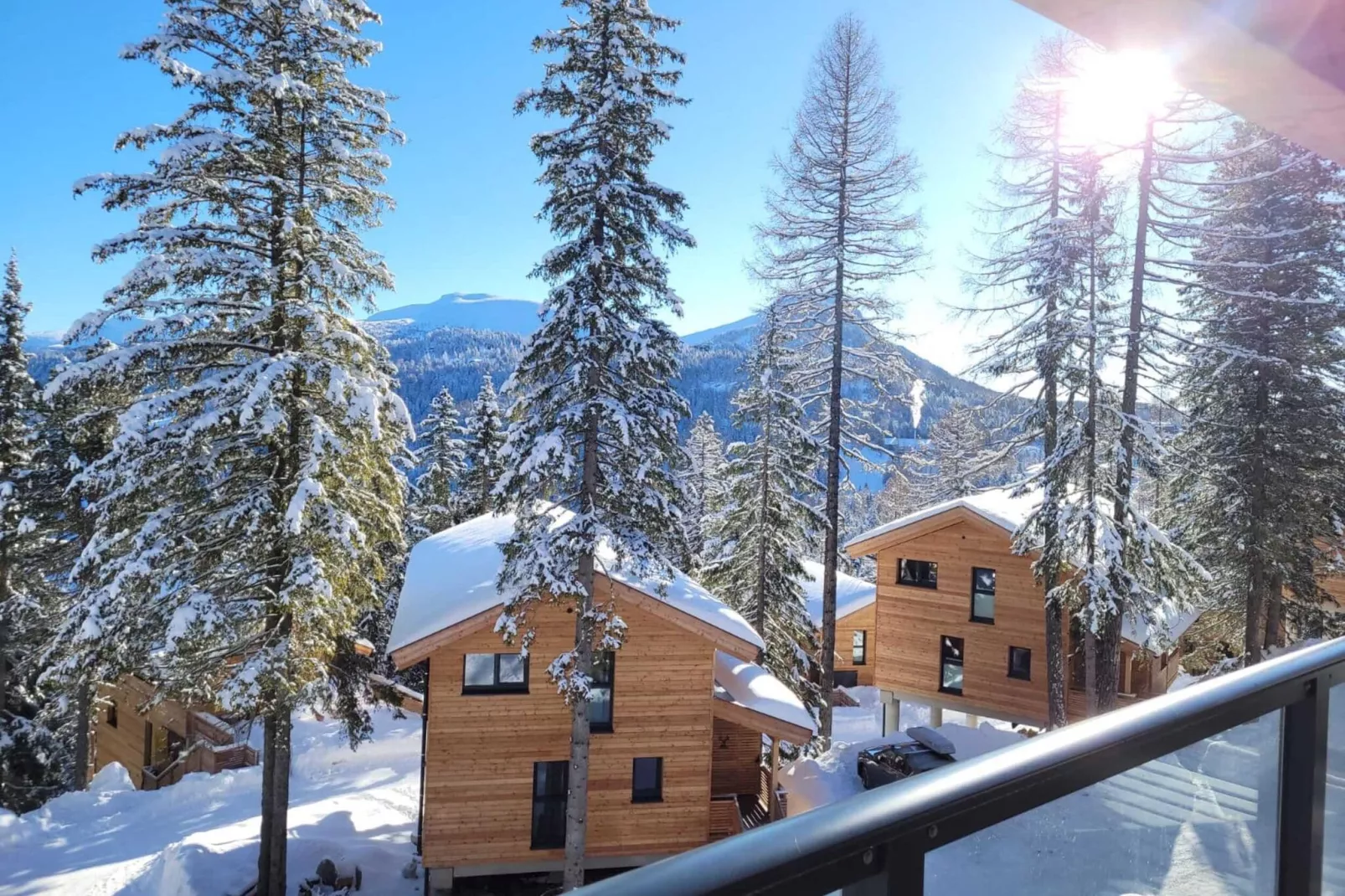 Naturchalets Turracher Höhe 22-View winter