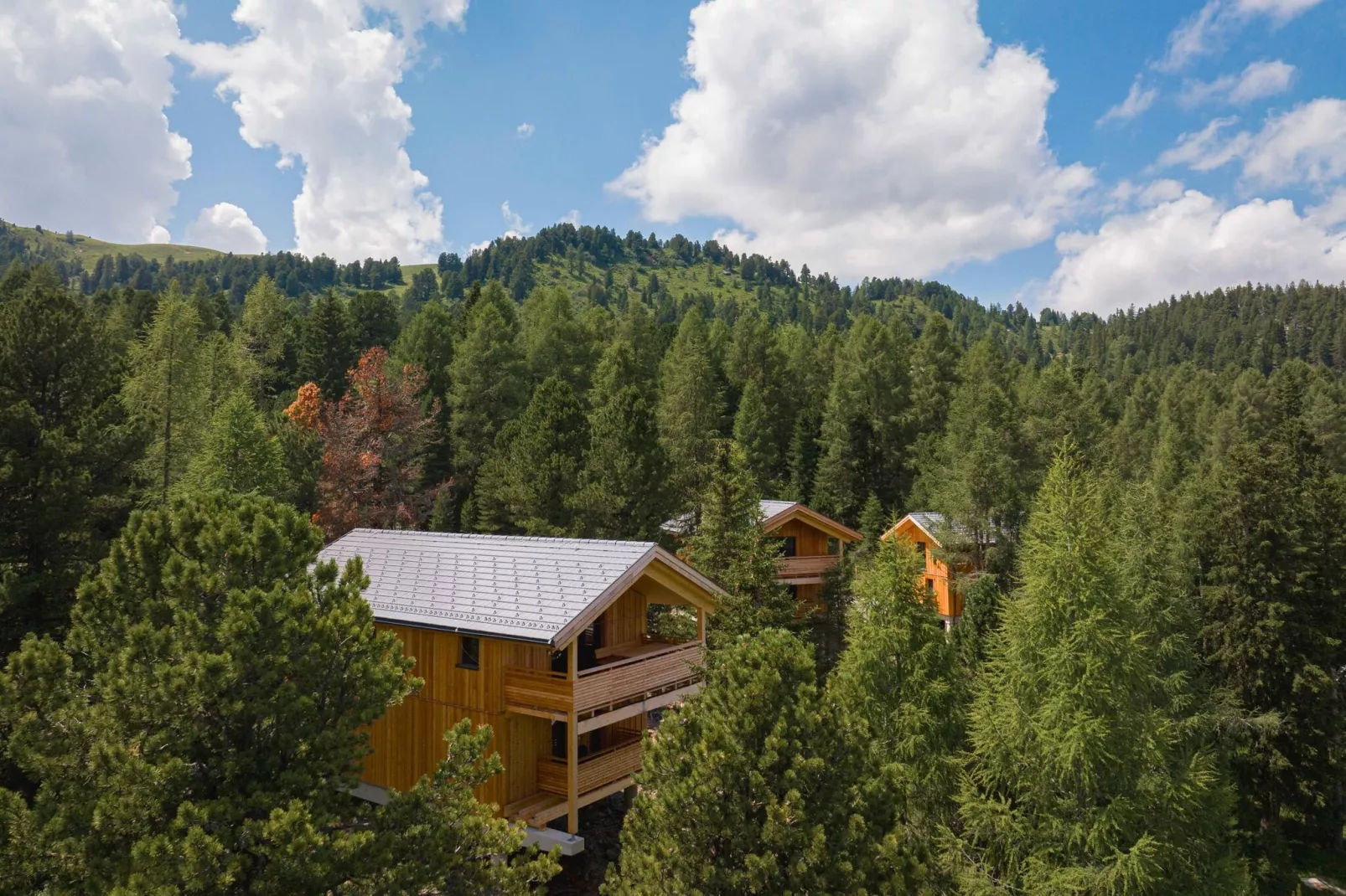Naturchalets Turracher Höhe 24-Areas summer 1km