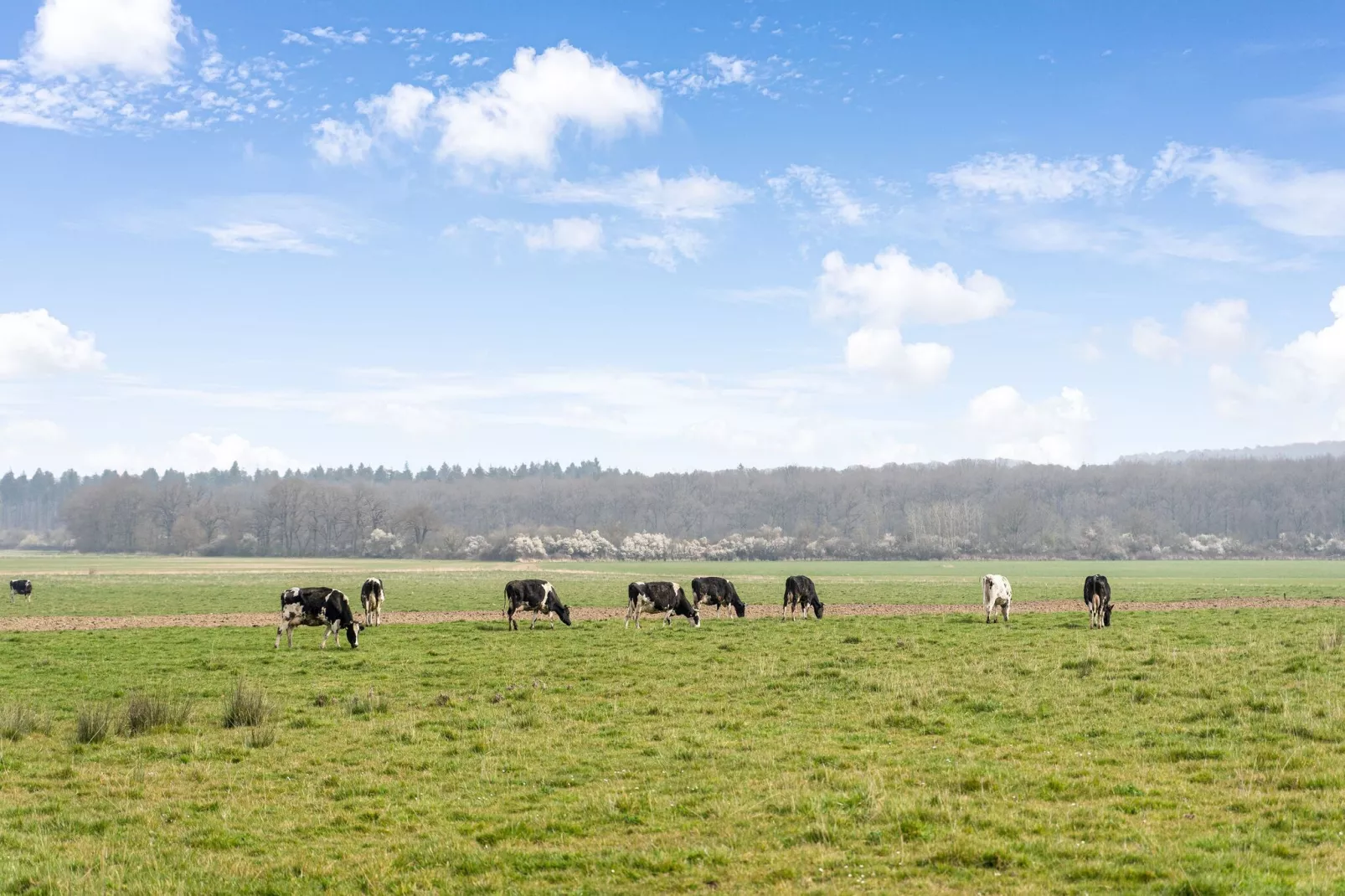 Le chausson-Areas summer 5km