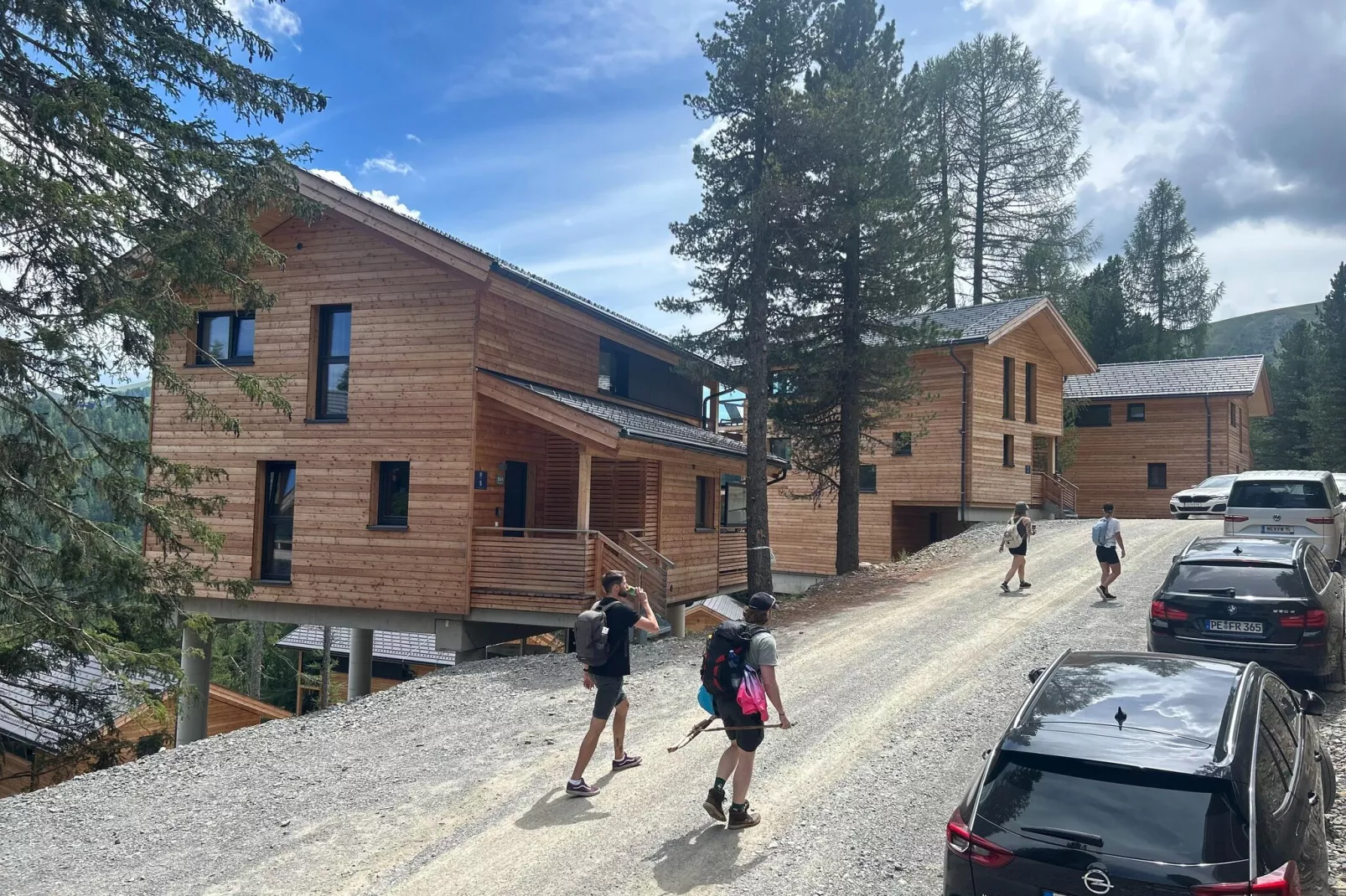 Naturchalets Turracher Höhe 42a-View summer