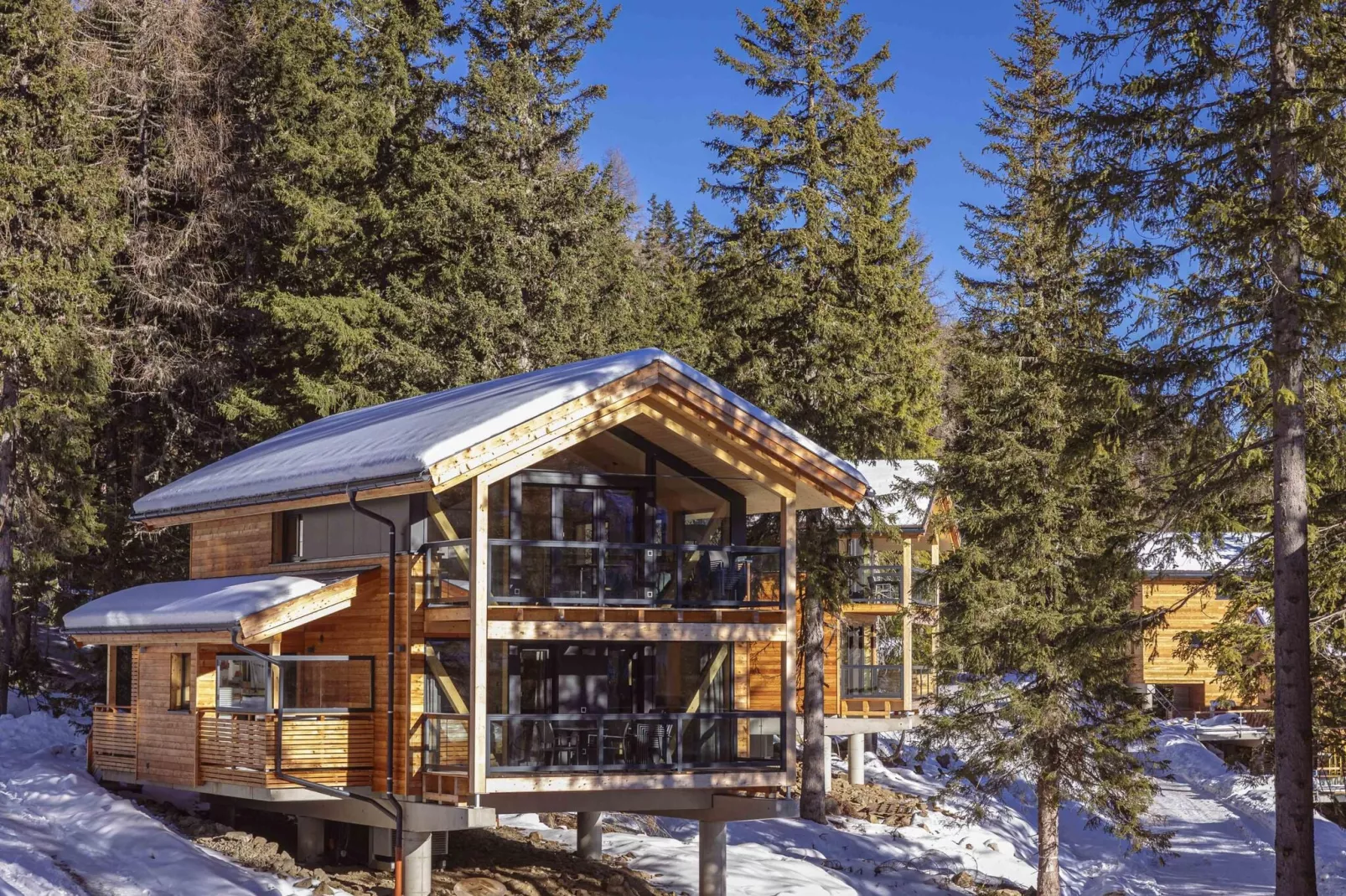 Naturchalets Turracher Höhe 42a-Exterior winter