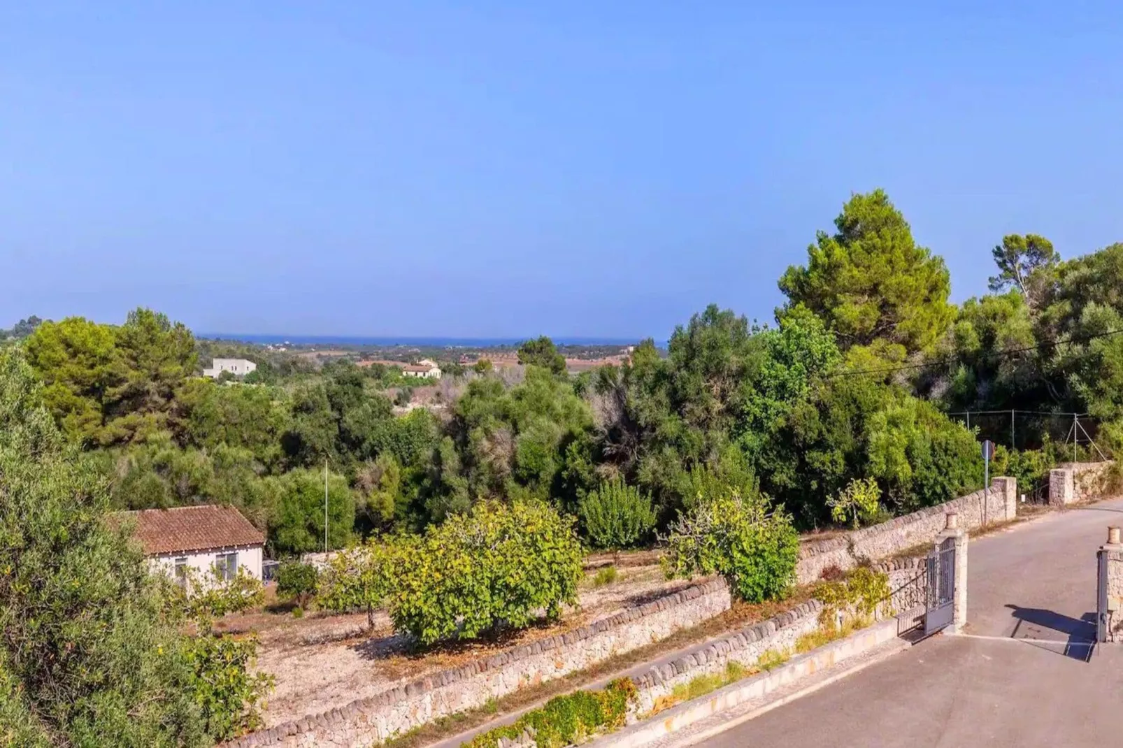 Son Colom-View summer