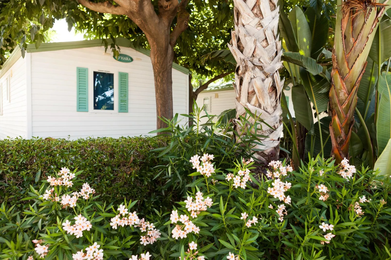 Camping Cambrils Playa BUNGALOW OHARA-Gardens summer