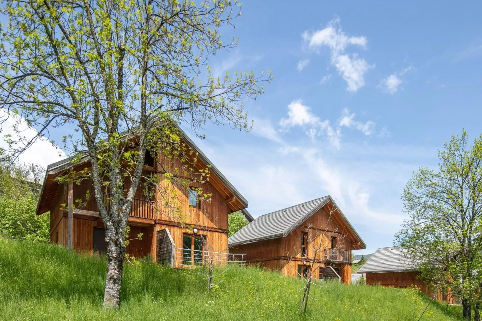 Les Gentianes 1-Exterior summer