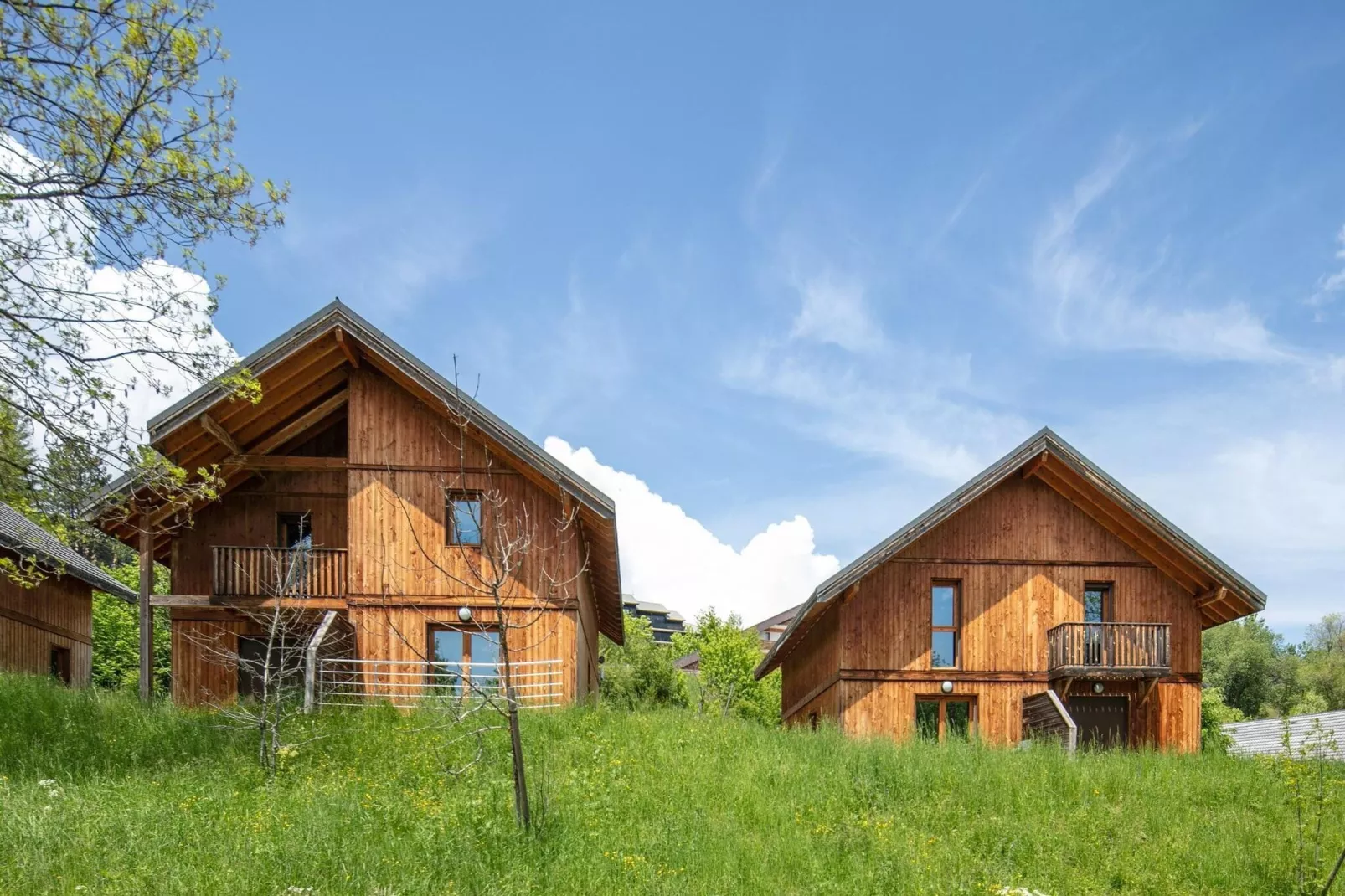 Les Gentianes 1-Exterior summer
