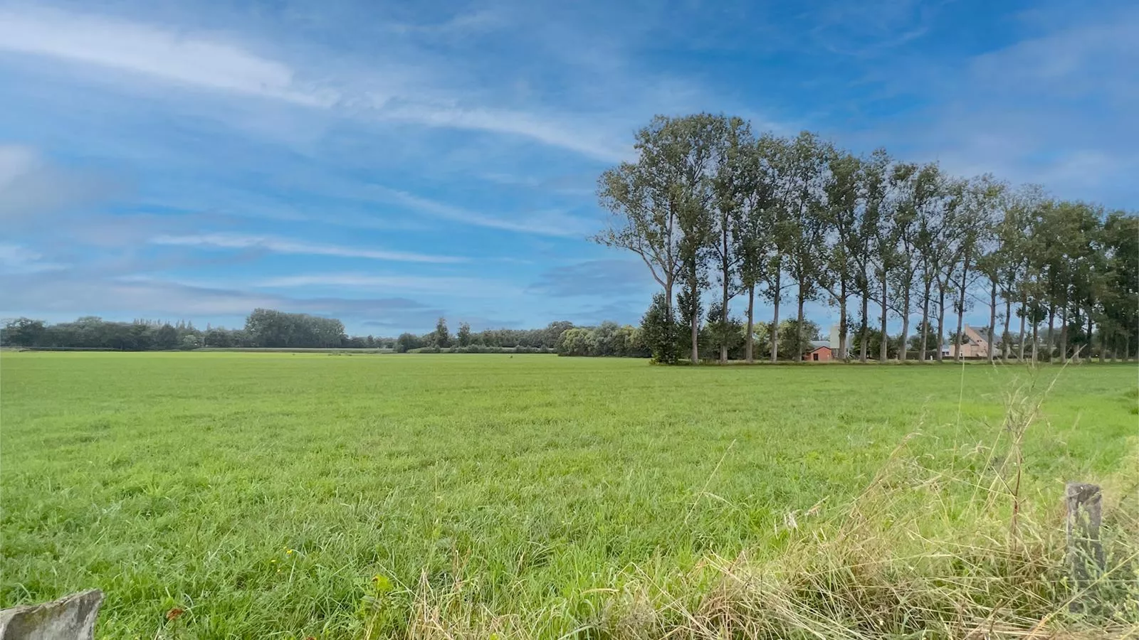 Lindehoeve-View summer