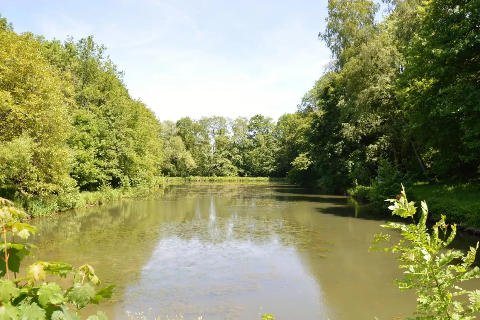 La Halte des 2 Lacs-Einrichtungen