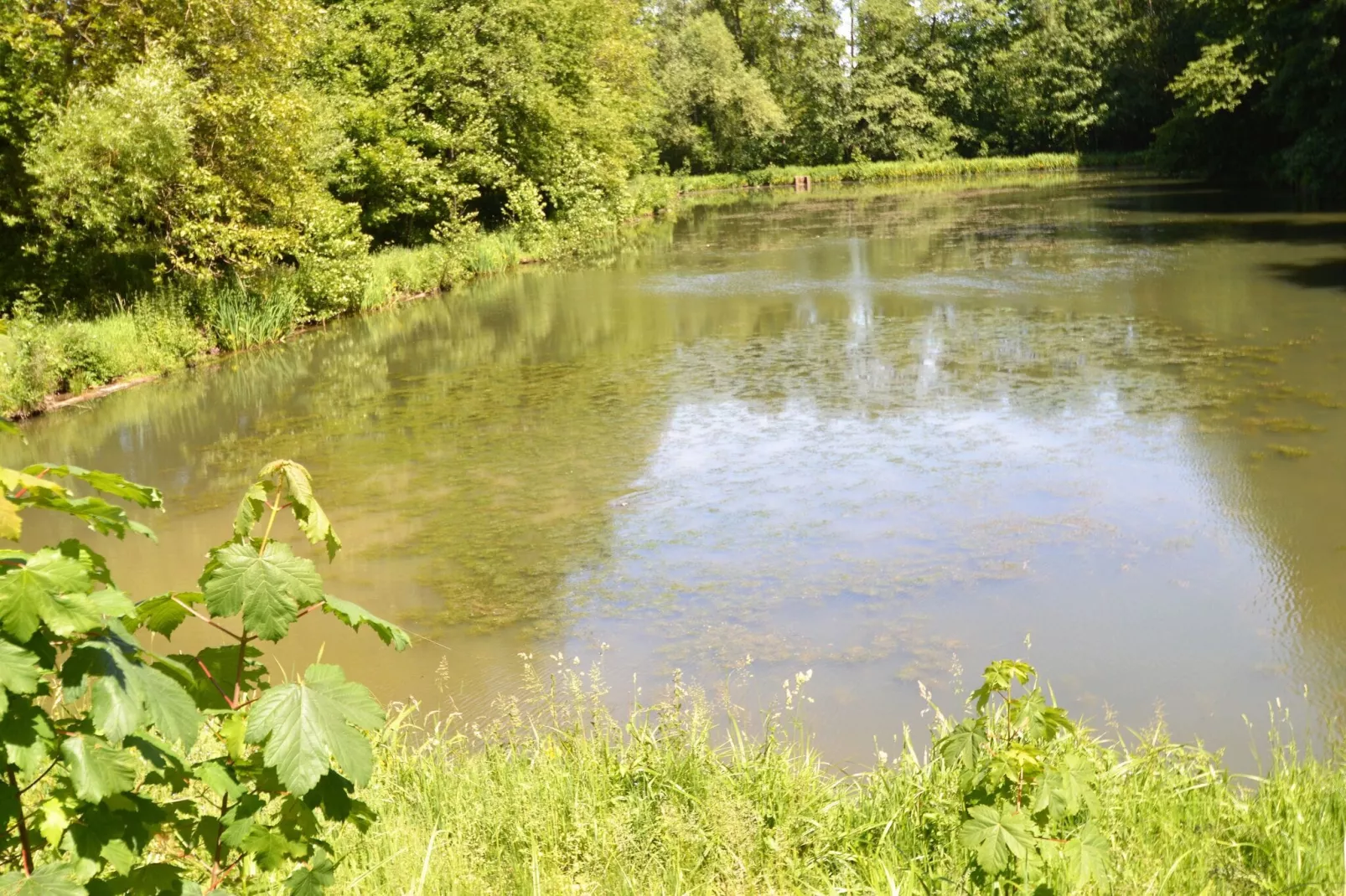 La Halte des 2 Lacs-Einrichtungen