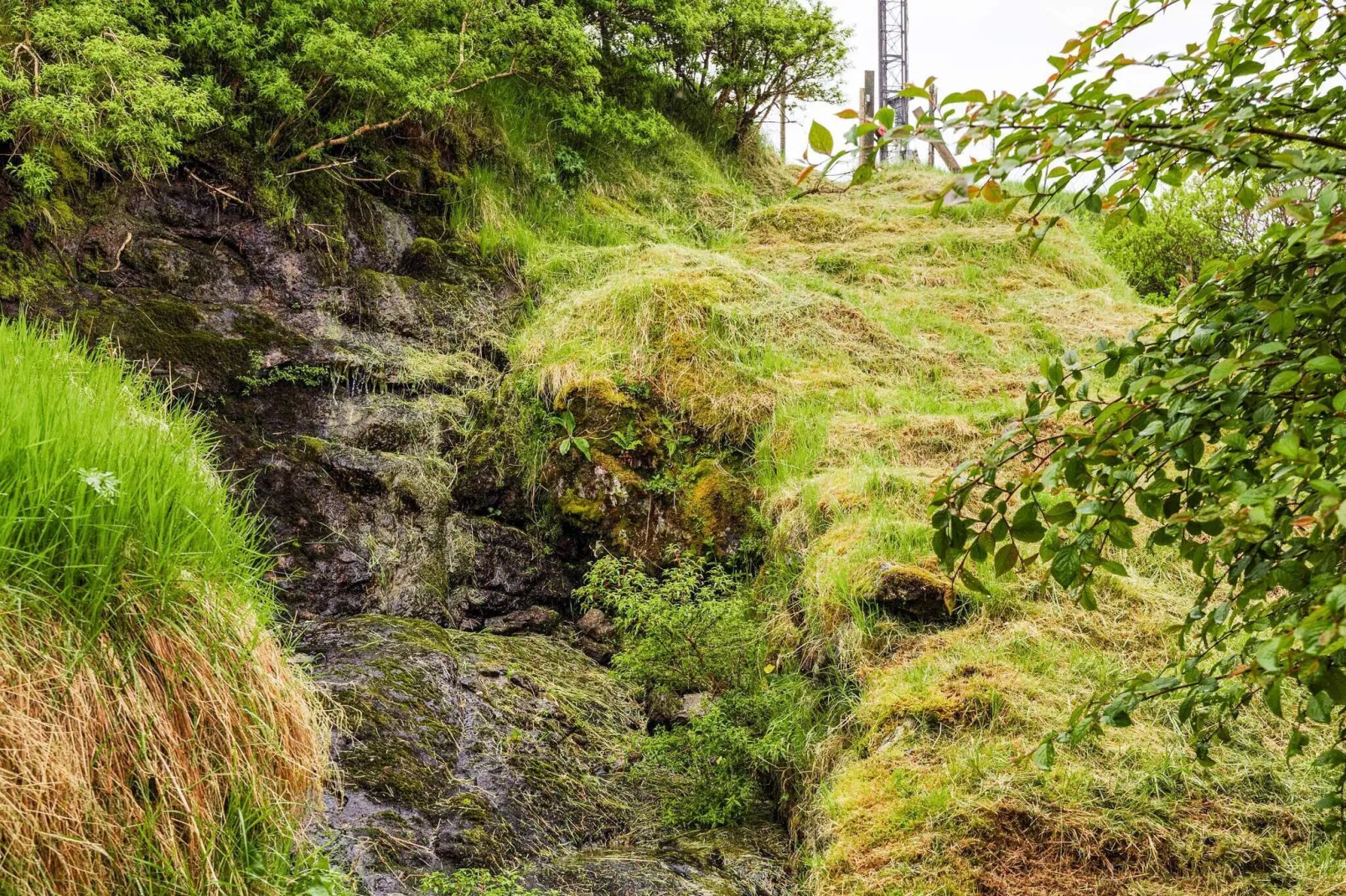 Tranquil Oasis in Kvivik - By Traum Ferienwohnungen-Outdoor
