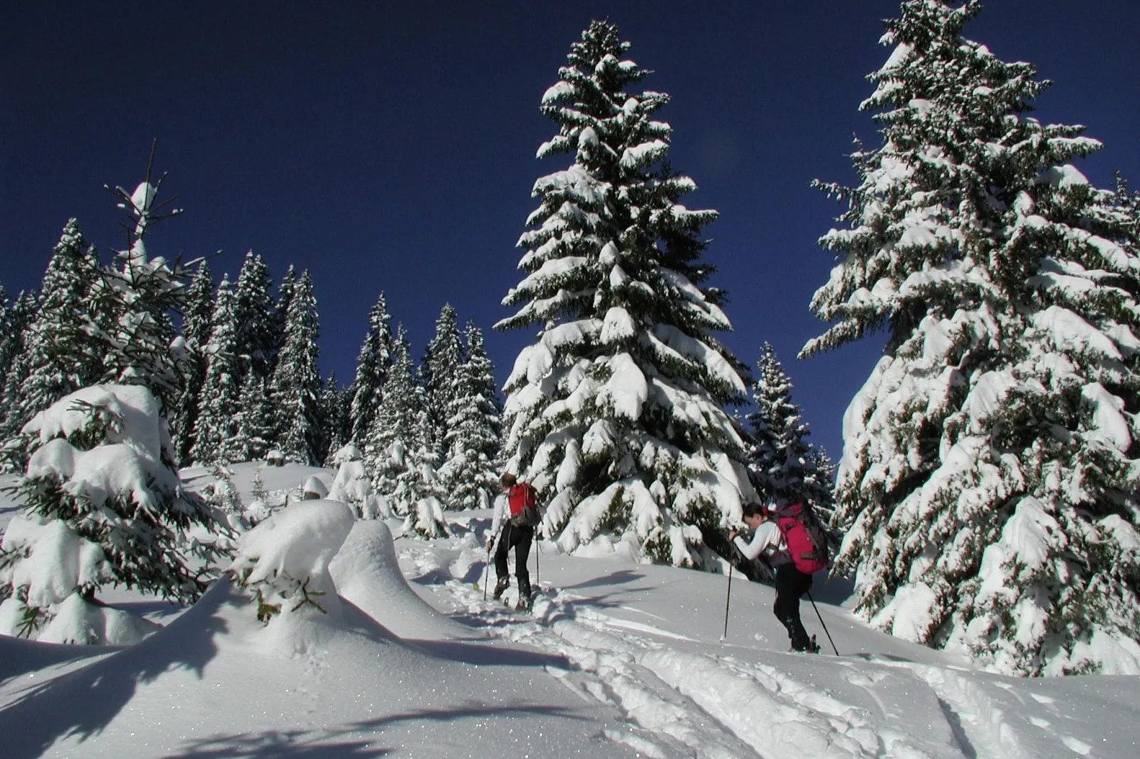 Erzberg Alpin Resort  9-Area winter 5km