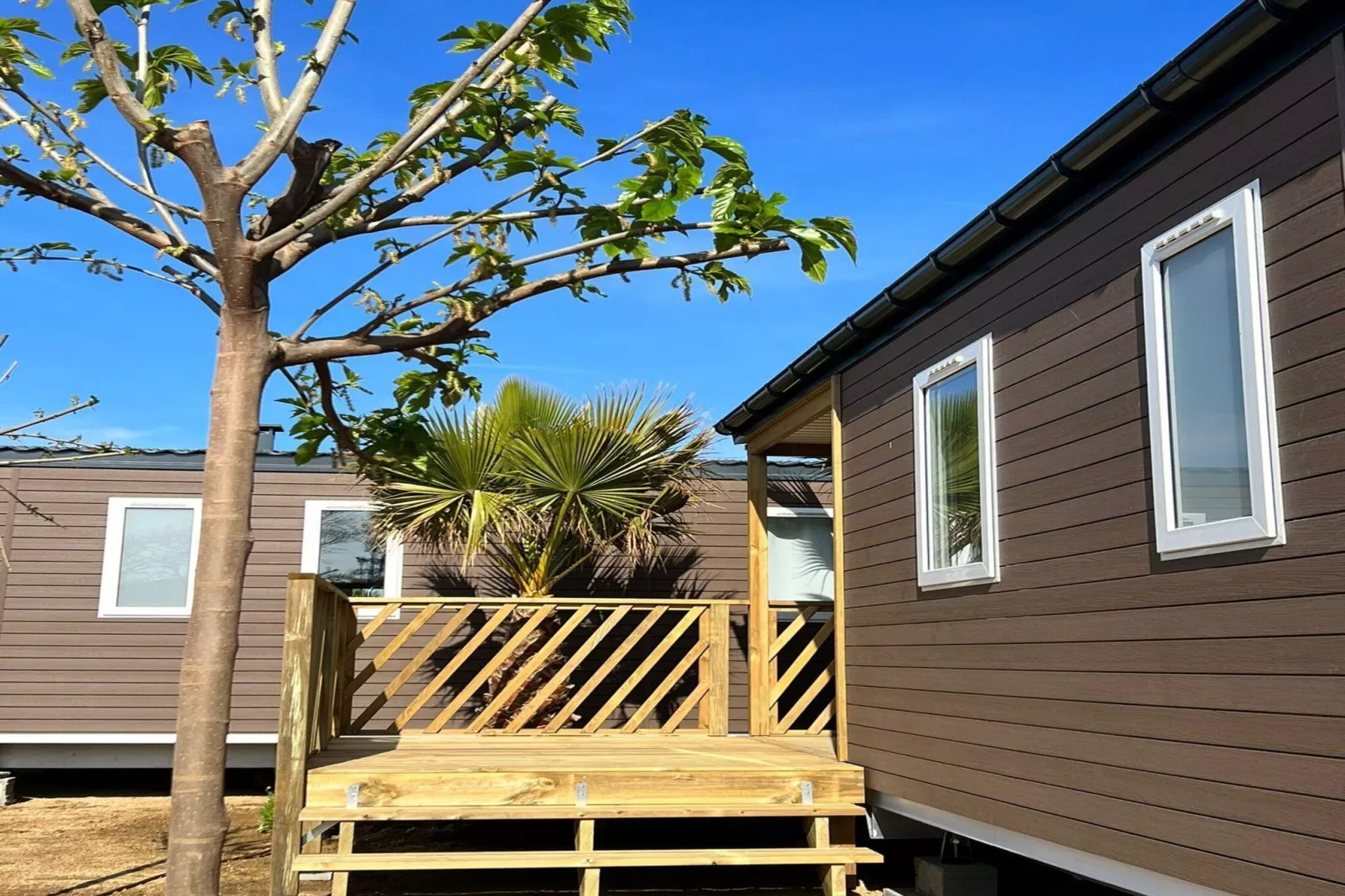 Els Pins- Mobile-Home Premium 3 Nature-Extérieur été