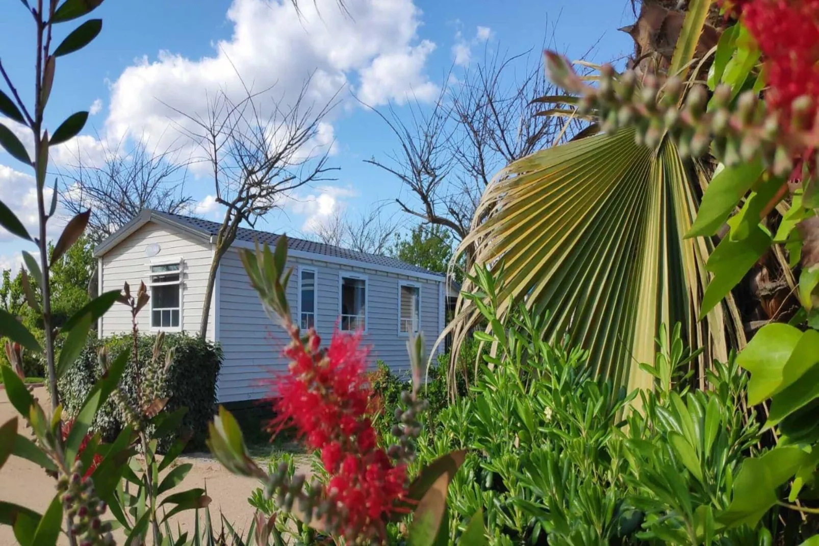 Els Pins-Mobile-Home Premium 2-Gardens summer