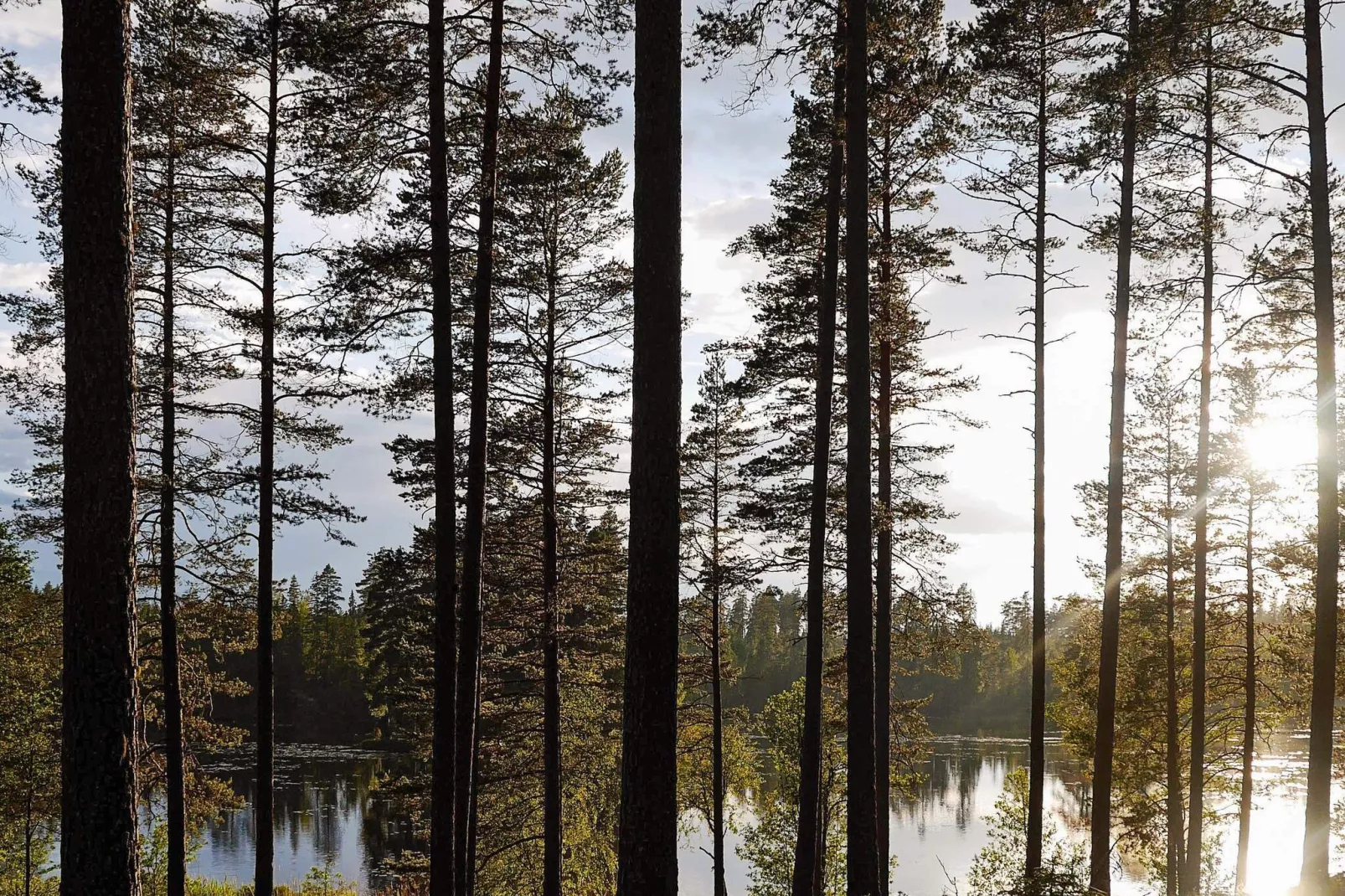 Maison de vacances pour 16 a PÅLSBODA-By Traum-Vue