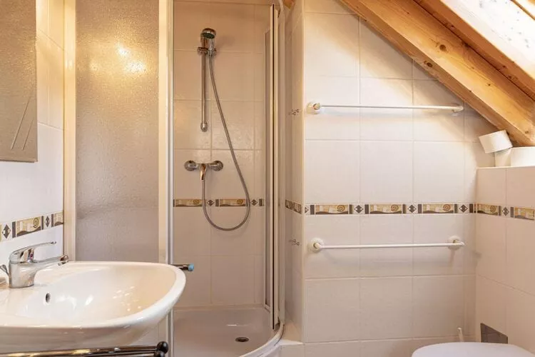 Ferienpark Kreischberg 19-Bathroom