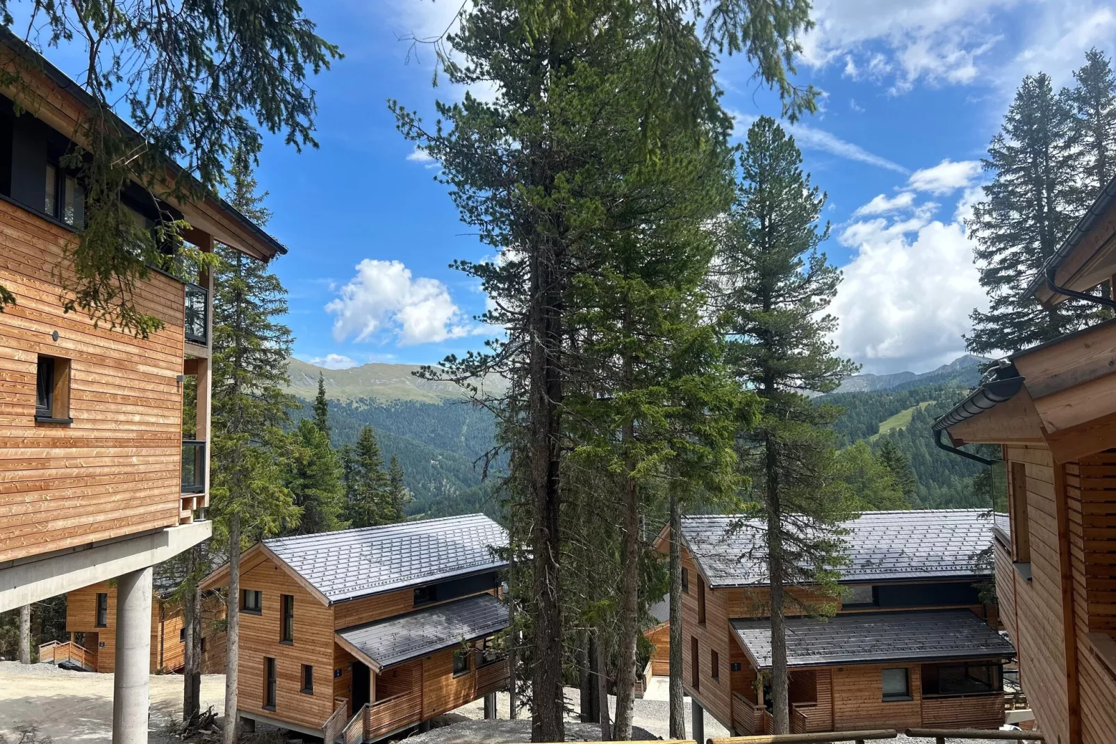 Naturchalets Turracher Höhe 3-View summer
