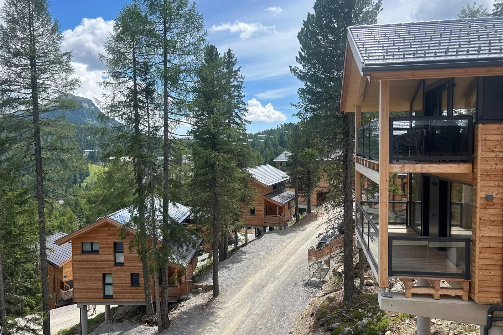 Naturchalets Turracher Höhe 3-Areas summer 1km