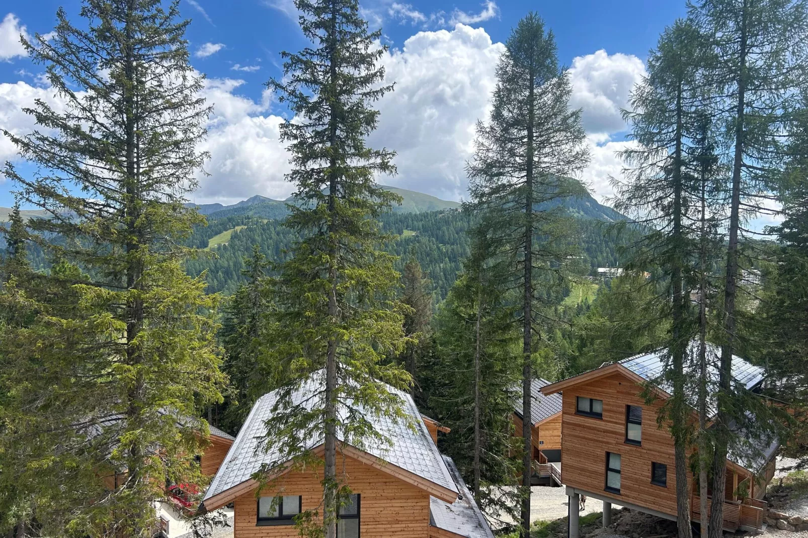 Naturchalets Turracher Höhe 4-View summer