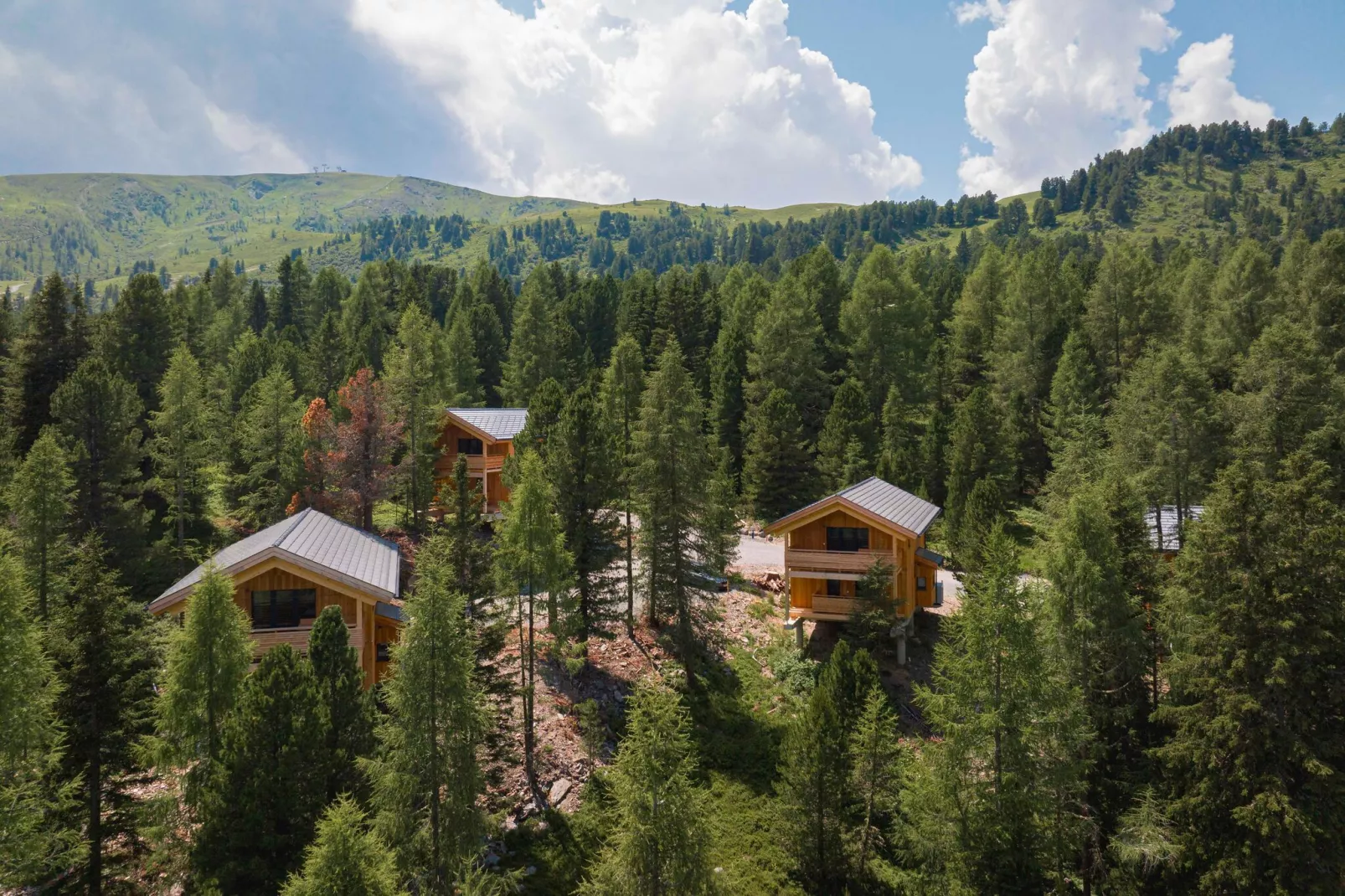 Naturchalets Turracher Höhe 4-Areas summer 1km