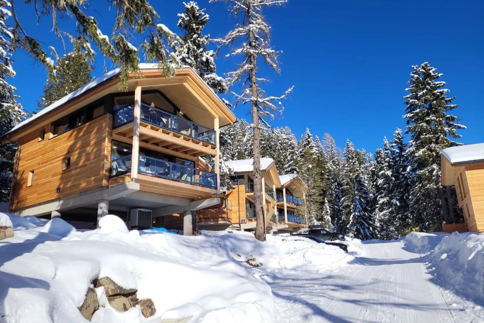 Naturchalets Turracher Höhe 4-Exterior winter