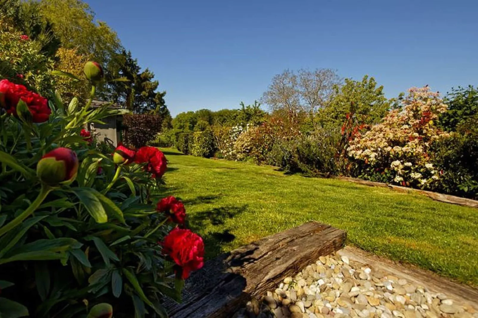 La Ferme d'Amélie-Gardens summer