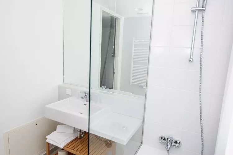 Alpenrock Schladming  1-Bathroom
