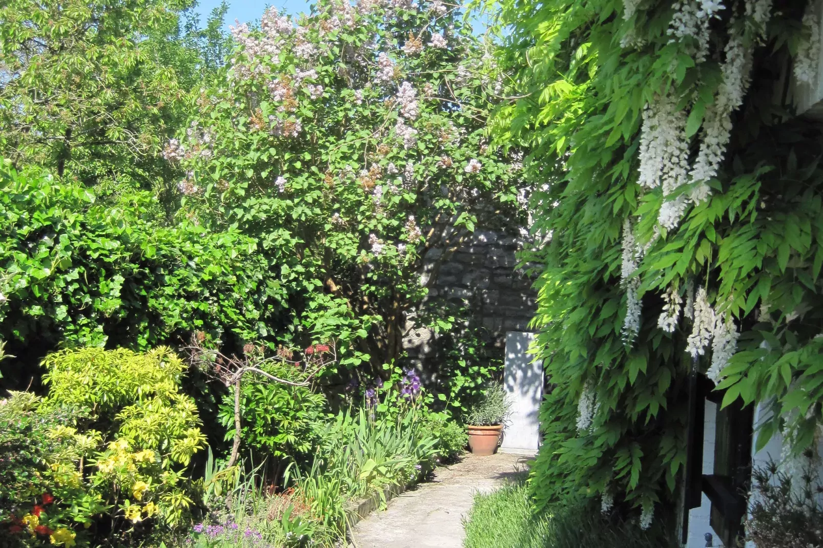 La Ferme d'Amélie-Gardens summer