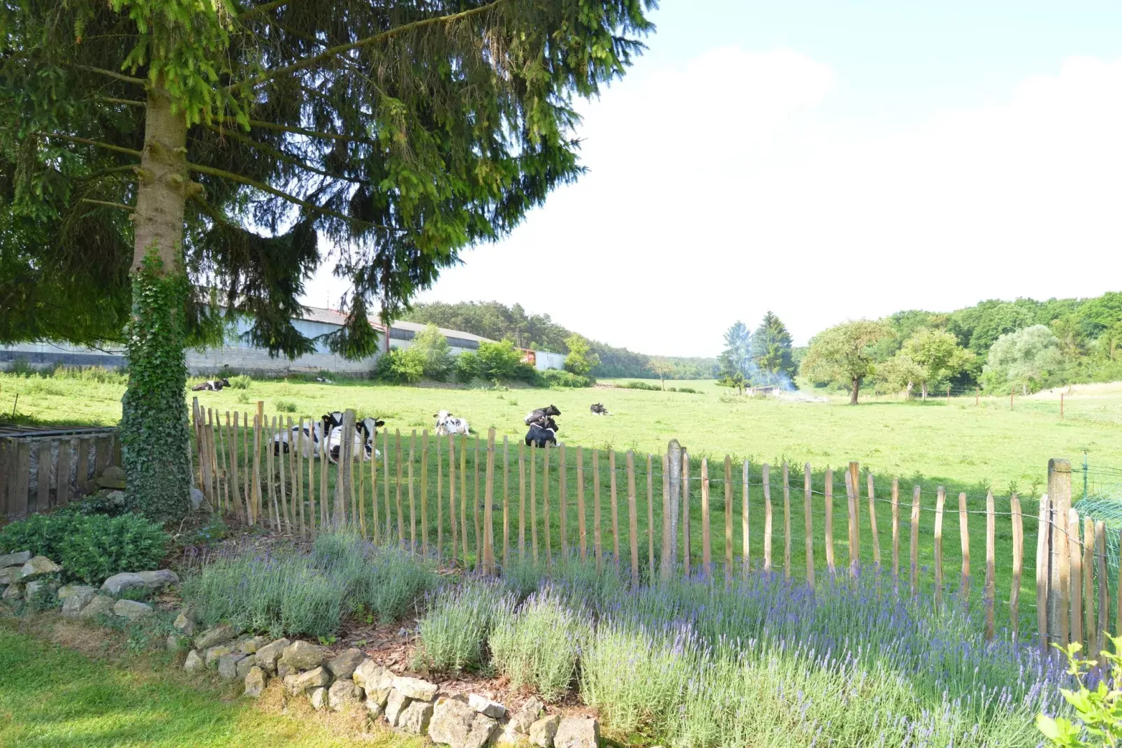 La Ferme d'Amélie-View summer
