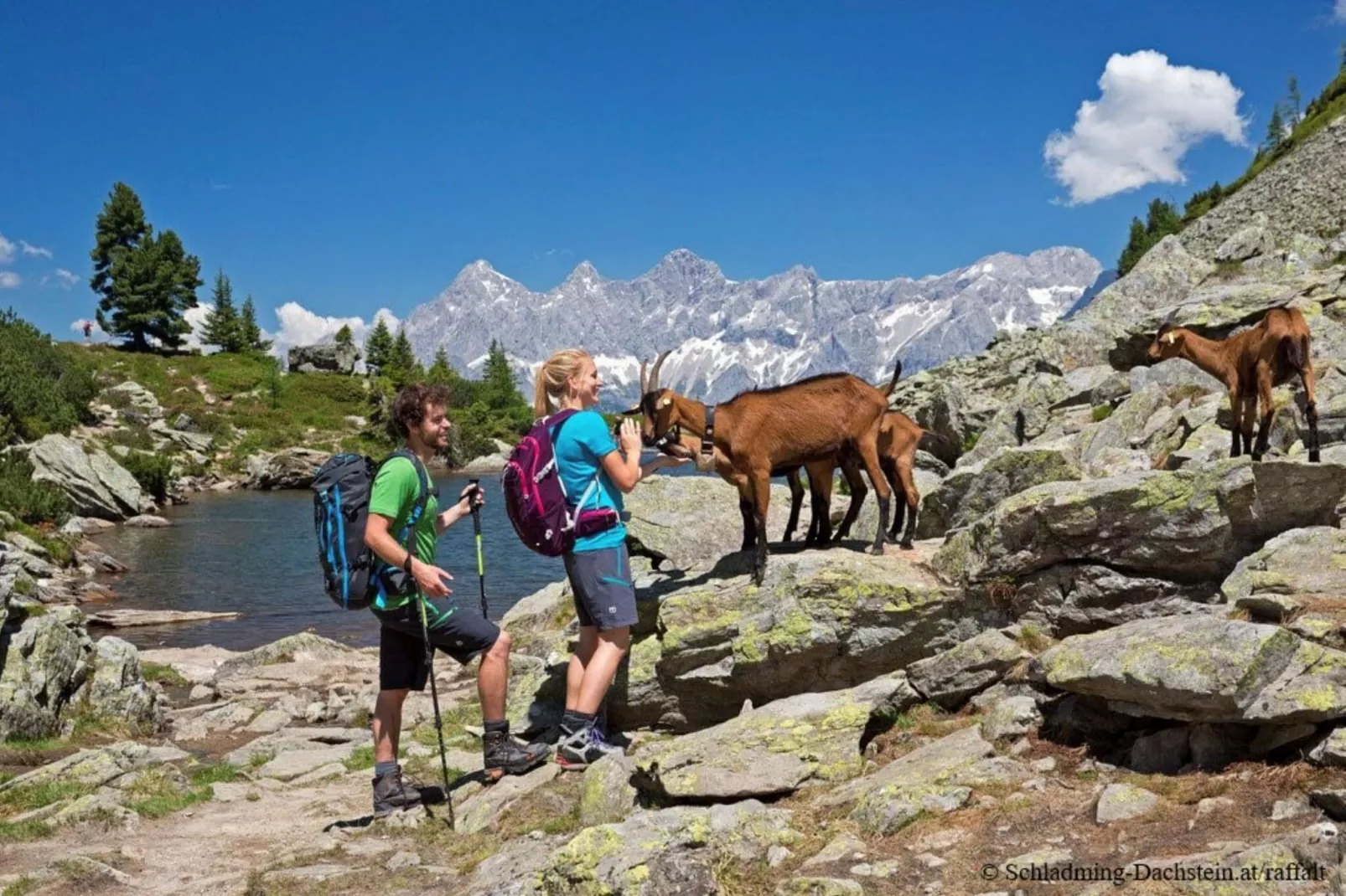 Alpenrock Schladming 9-Areas summer 20km