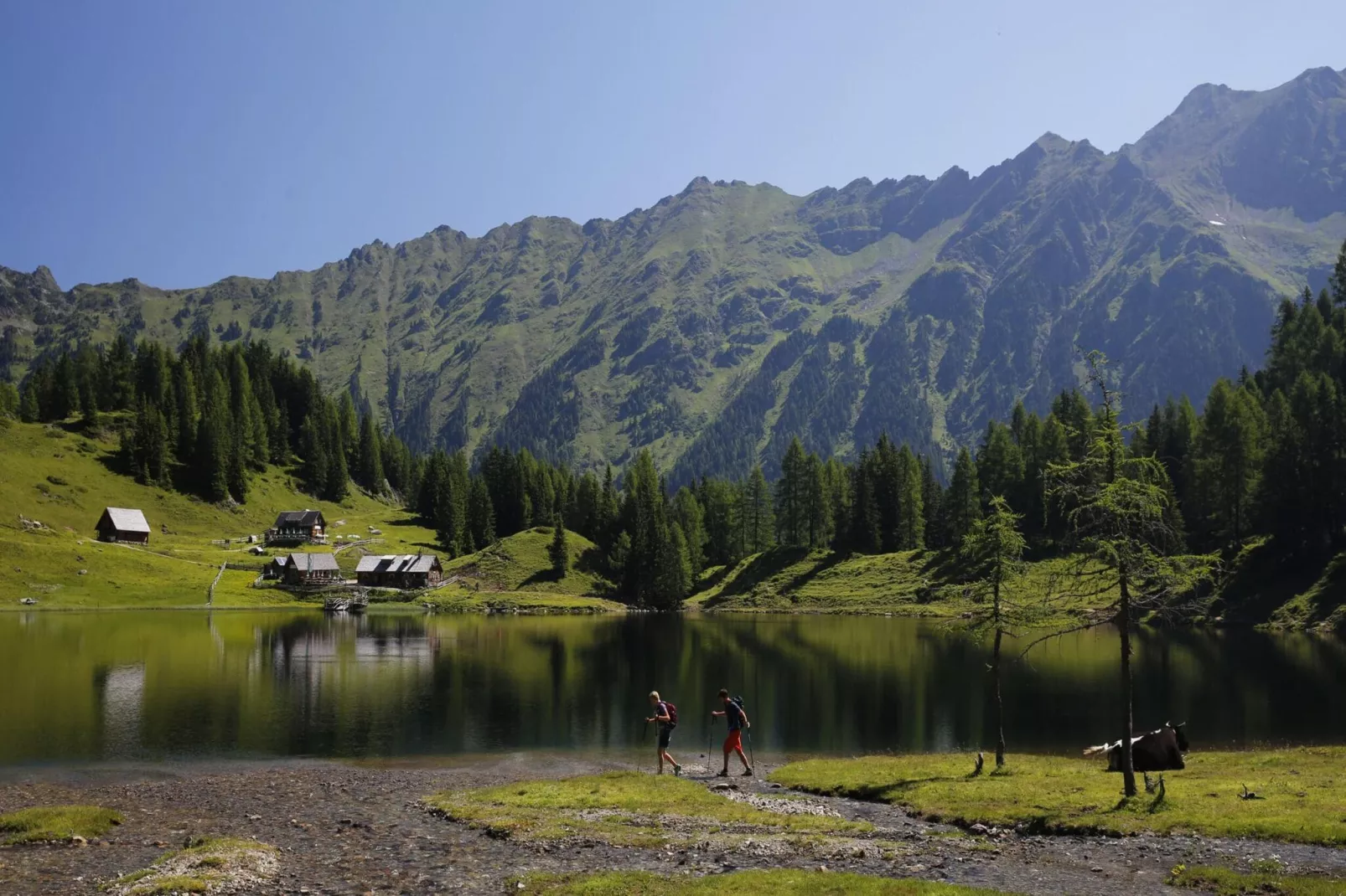 Alpenchalets Reiteralm 11-Areas summer 5km