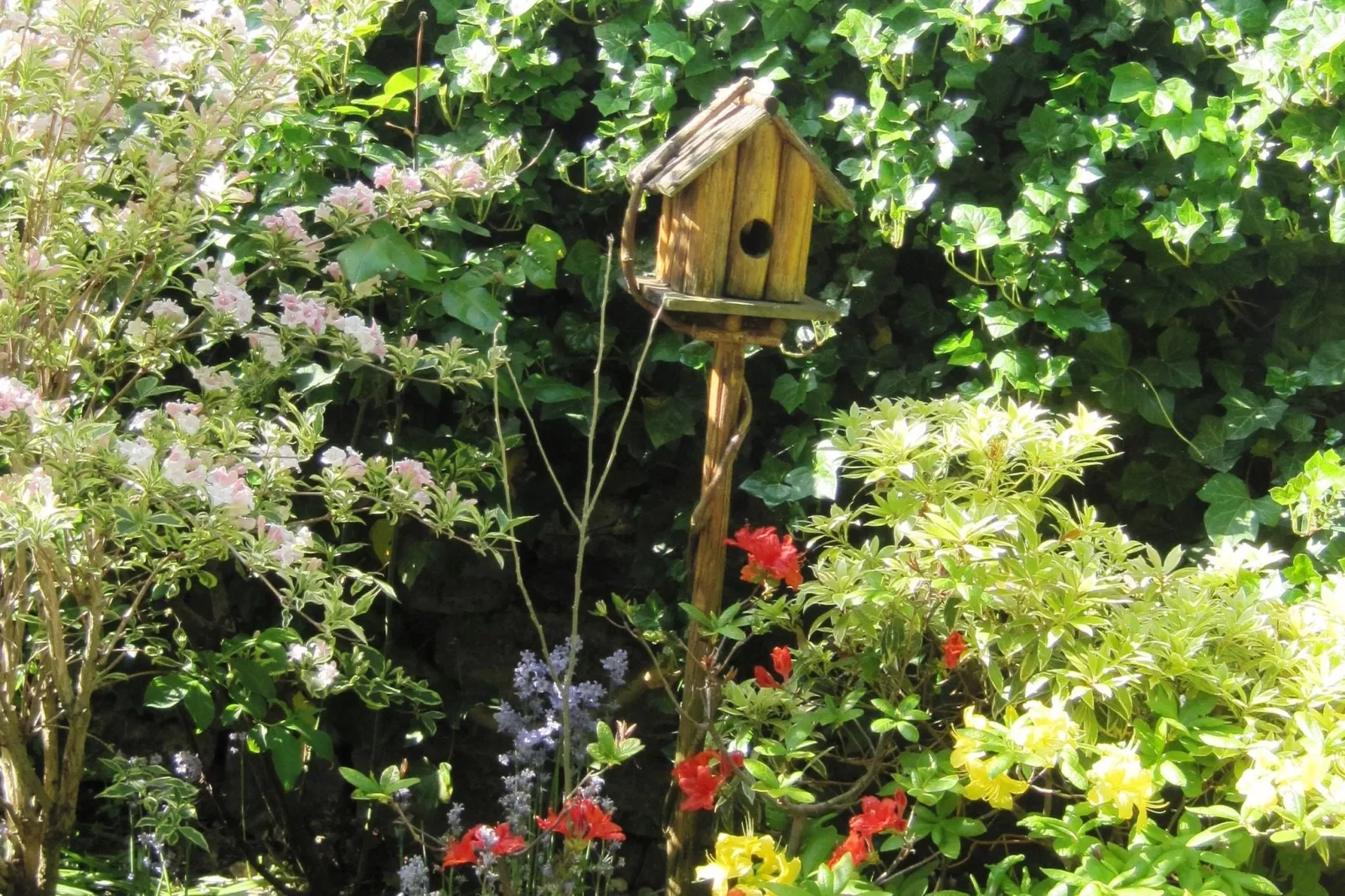 La Ferme d'Amélie-Gardens summer