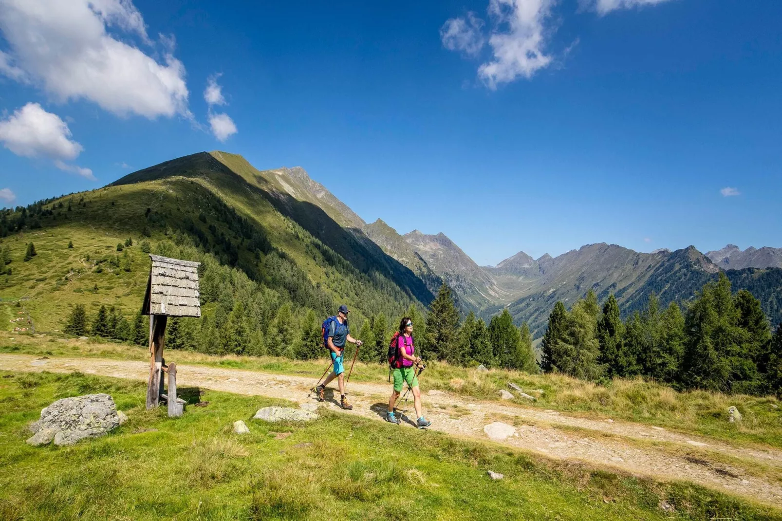 Alpenchalets Reiteralm 10-Areas summer 5km