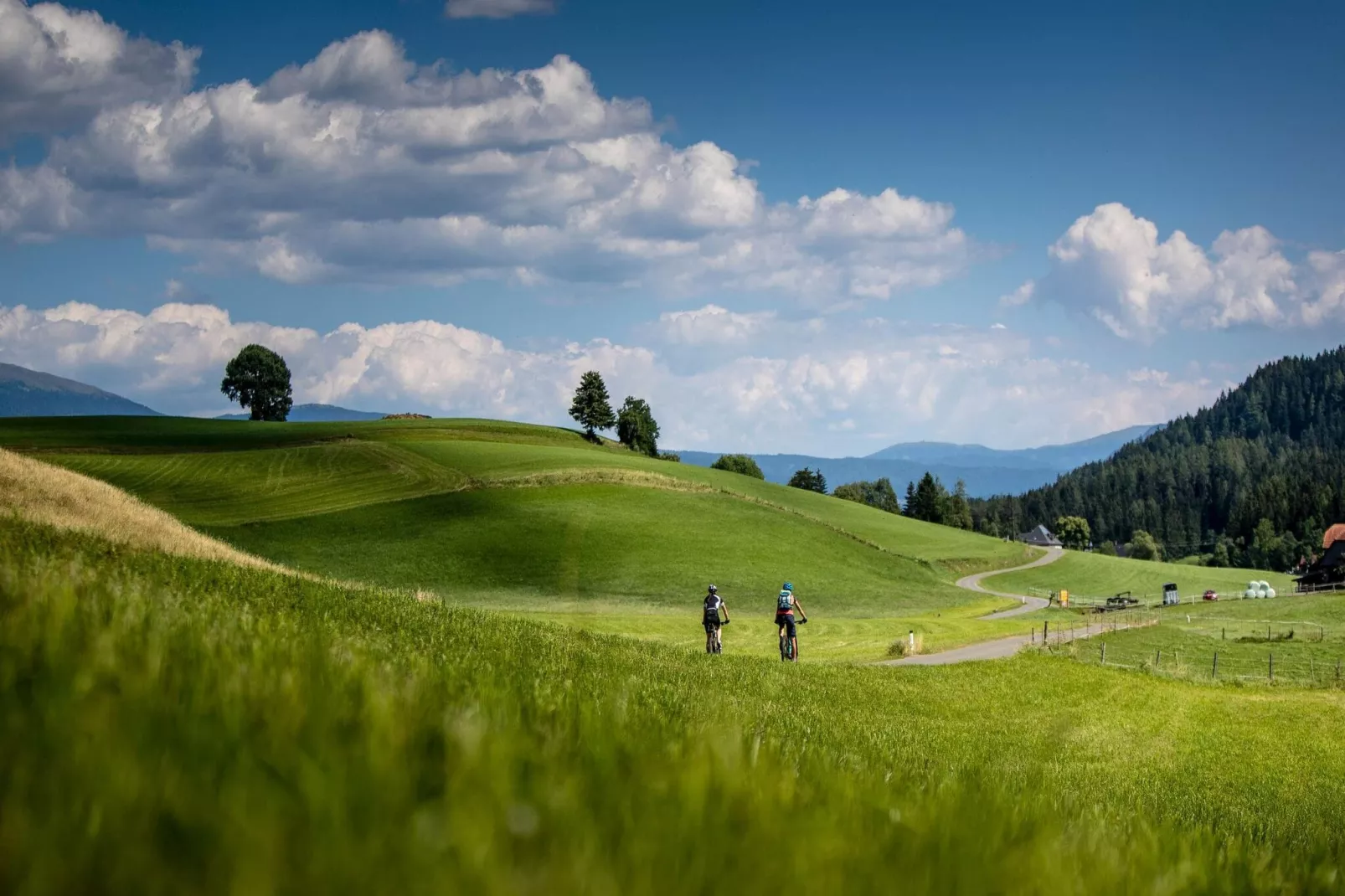 Alpenchalets Reiteralm 10-Areas summer 20km
