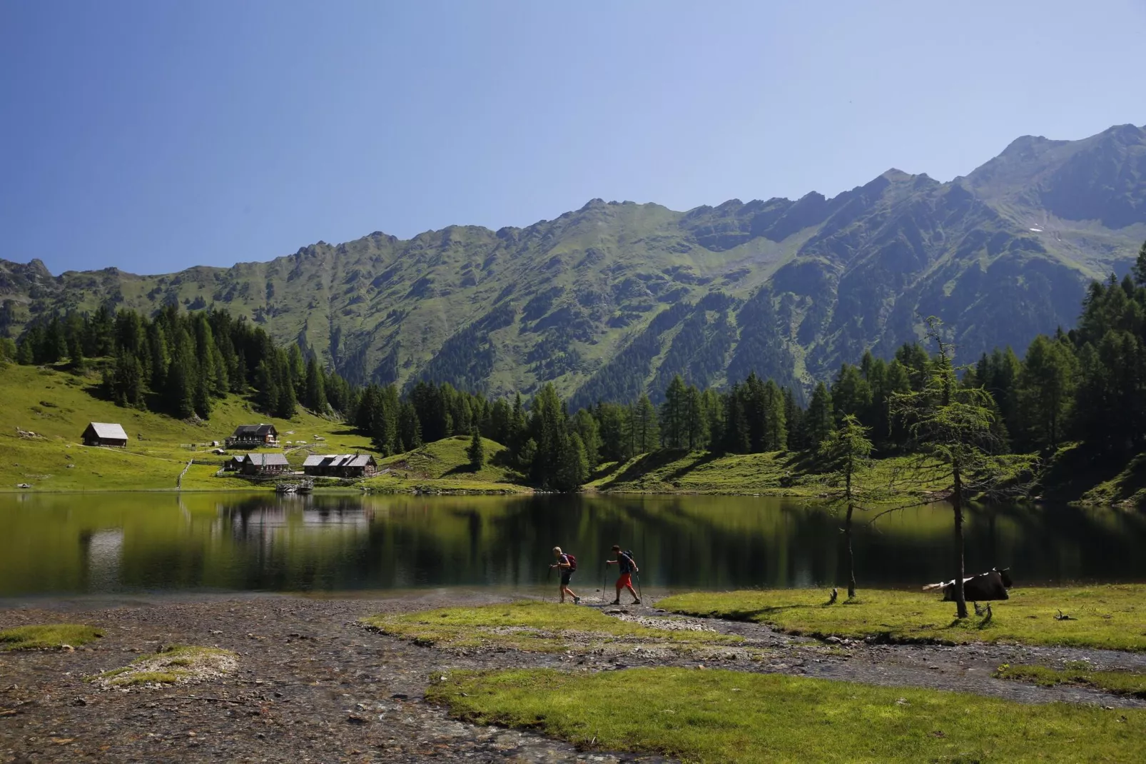 Alpenchalets Reiteralm 7-Areas summer 5km