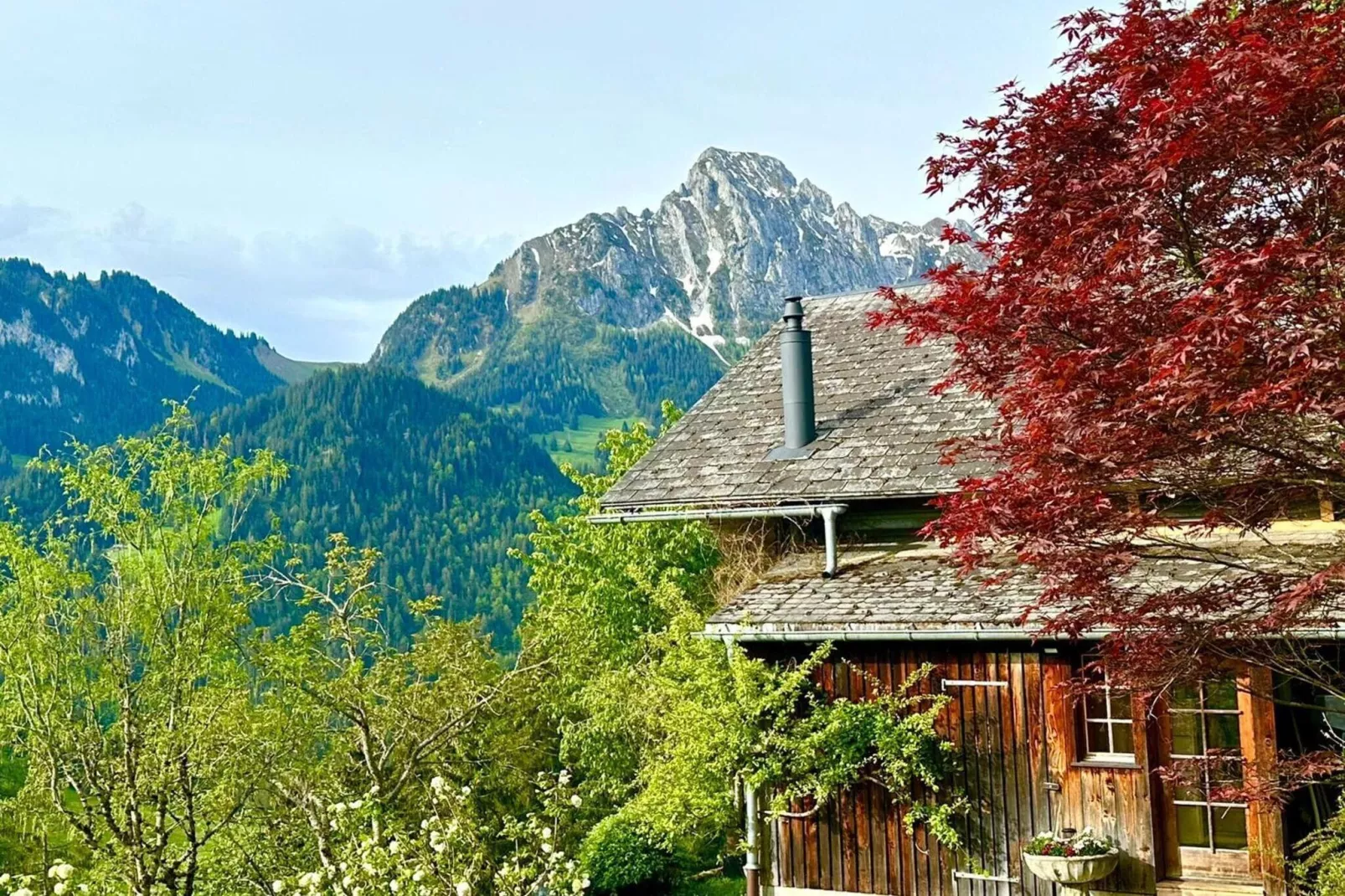 Gstaad Paradise View Chalet with Outdoor Jacuzzi-View summer