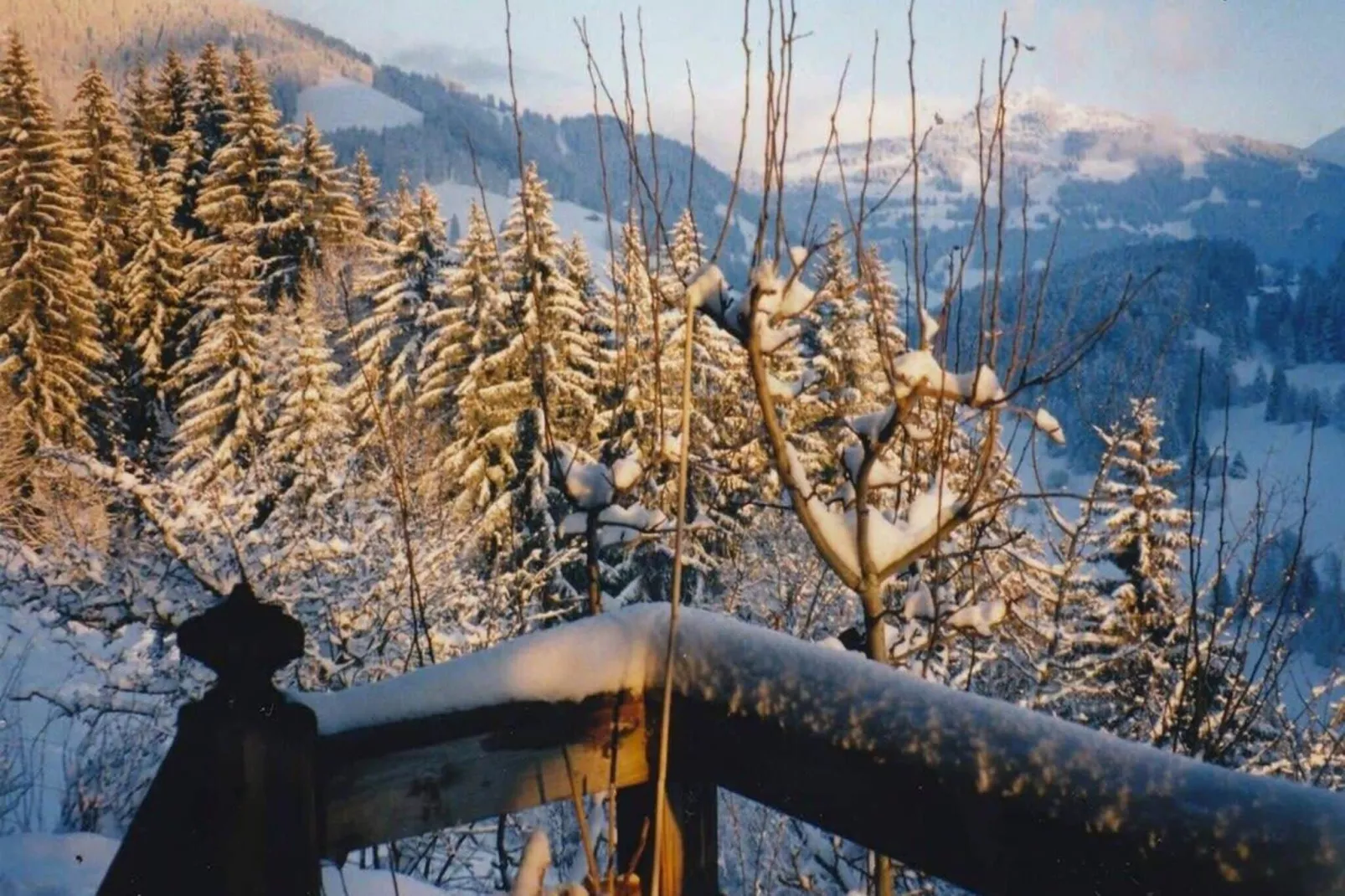 Gstaad Paradise View Chalet with Outdoor Jacuzzi-View winter