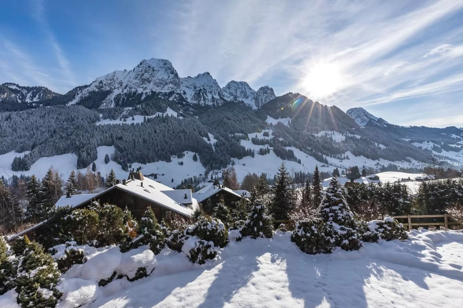 Beautiful Alpine Luxury Flat in Rougemont-Area winter 1km