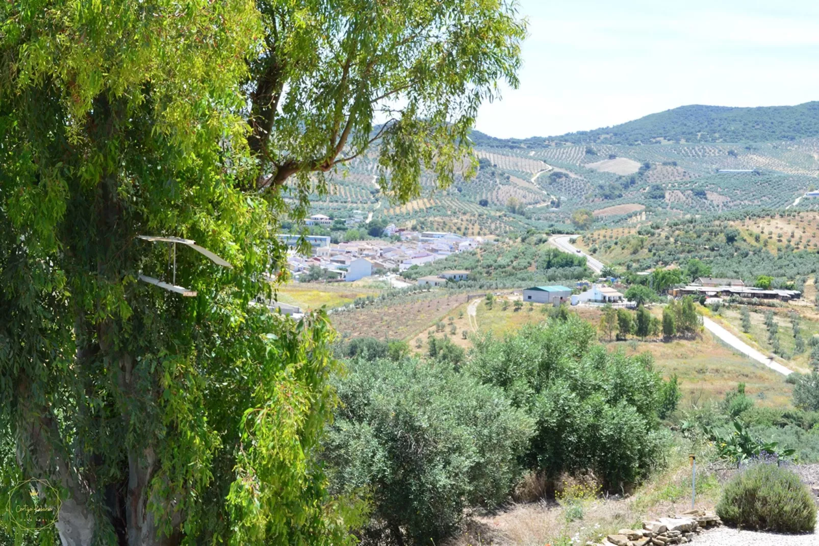 Cortijo Rosario-View summer