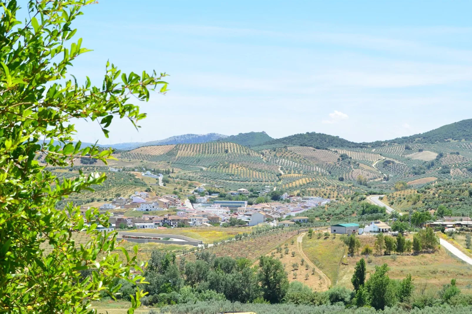Cortijo Rosario-View summer