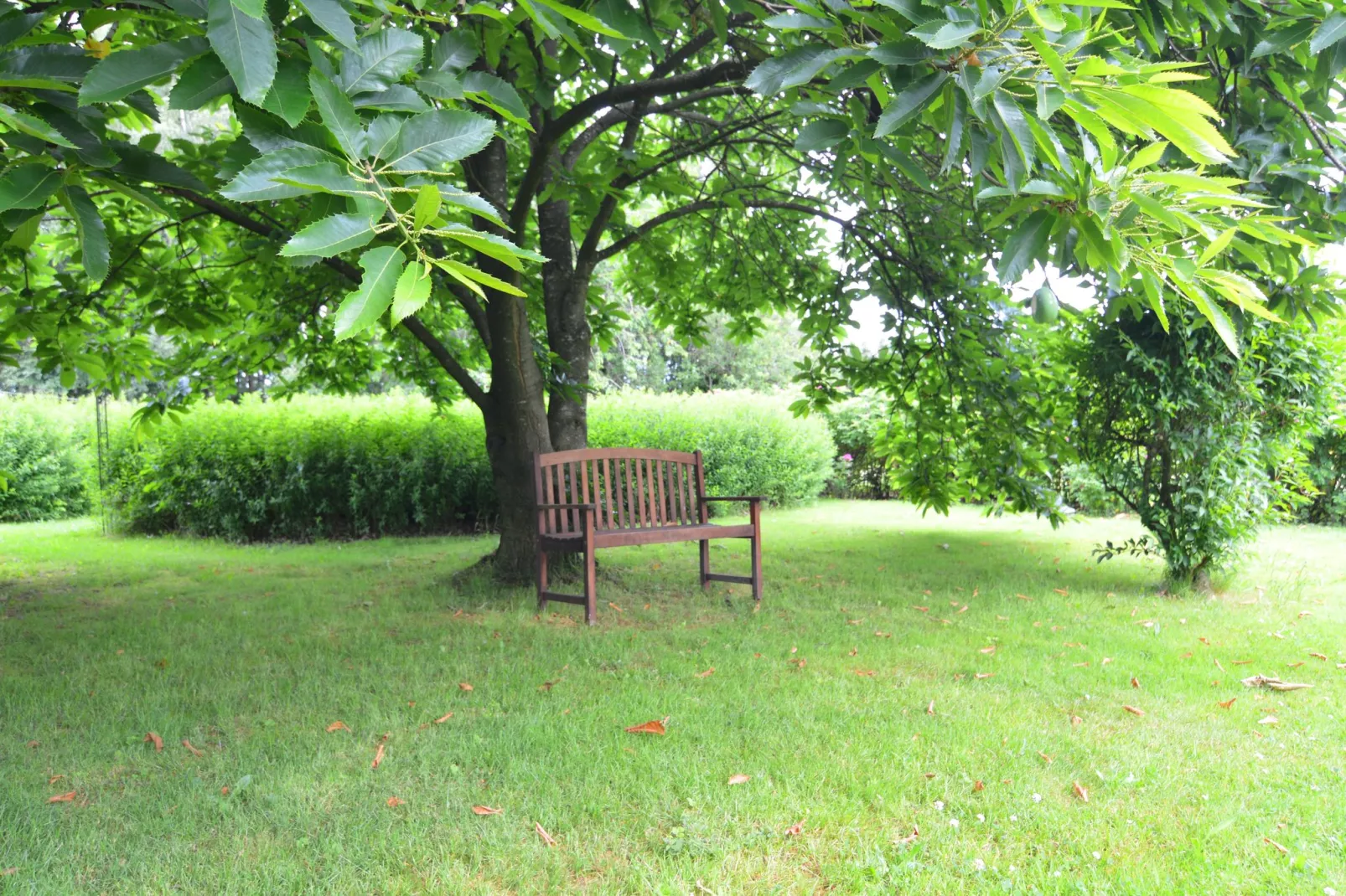 La Pierraille-Jardin d'été