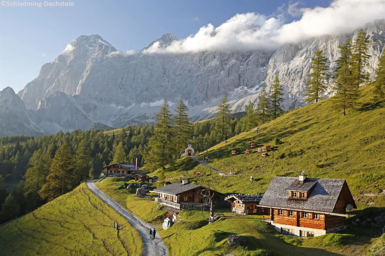 Bergresort Hauser Kaibling 5-Areas summer 20km
