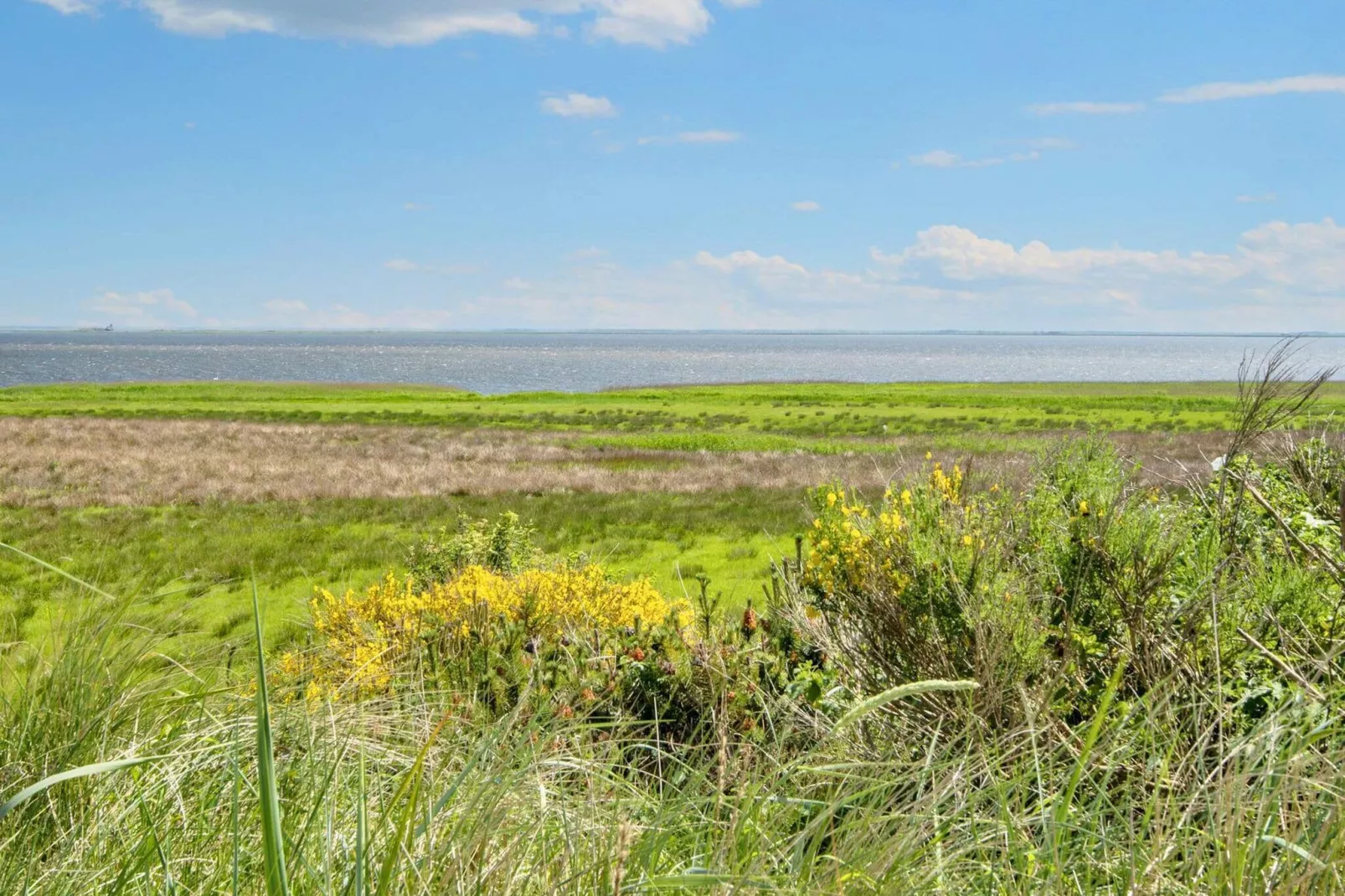 4 star holiday home in Hvide Sande-Water view