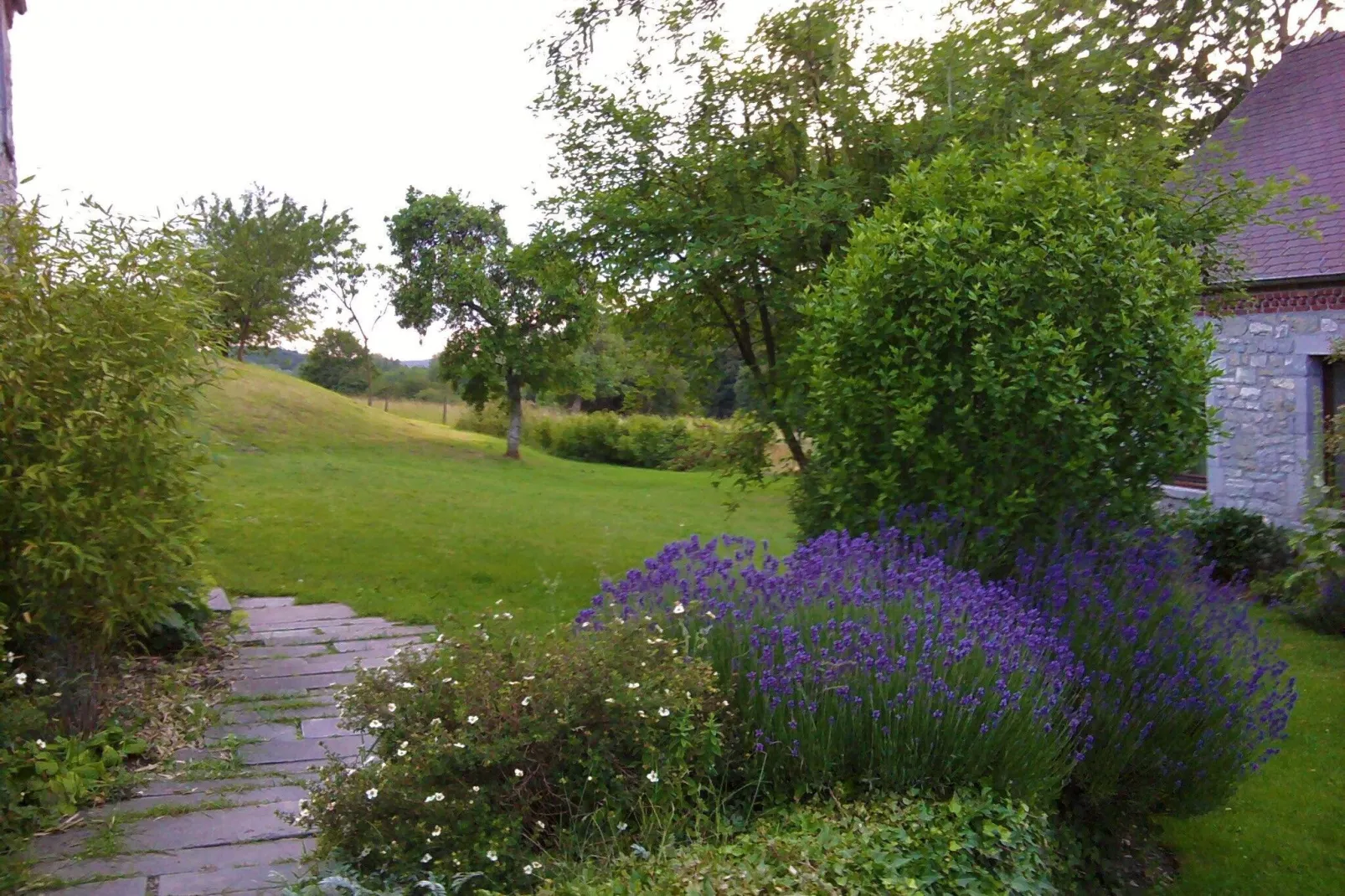 Le Marteaubois-Jardin d'été