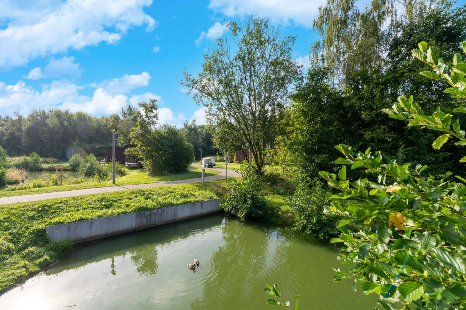 The Leaf by YourNature-Areas summer 1km